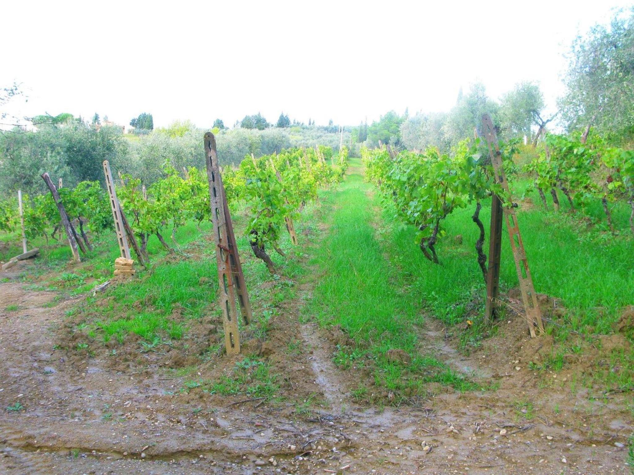 Agriturismo Martignana Alta