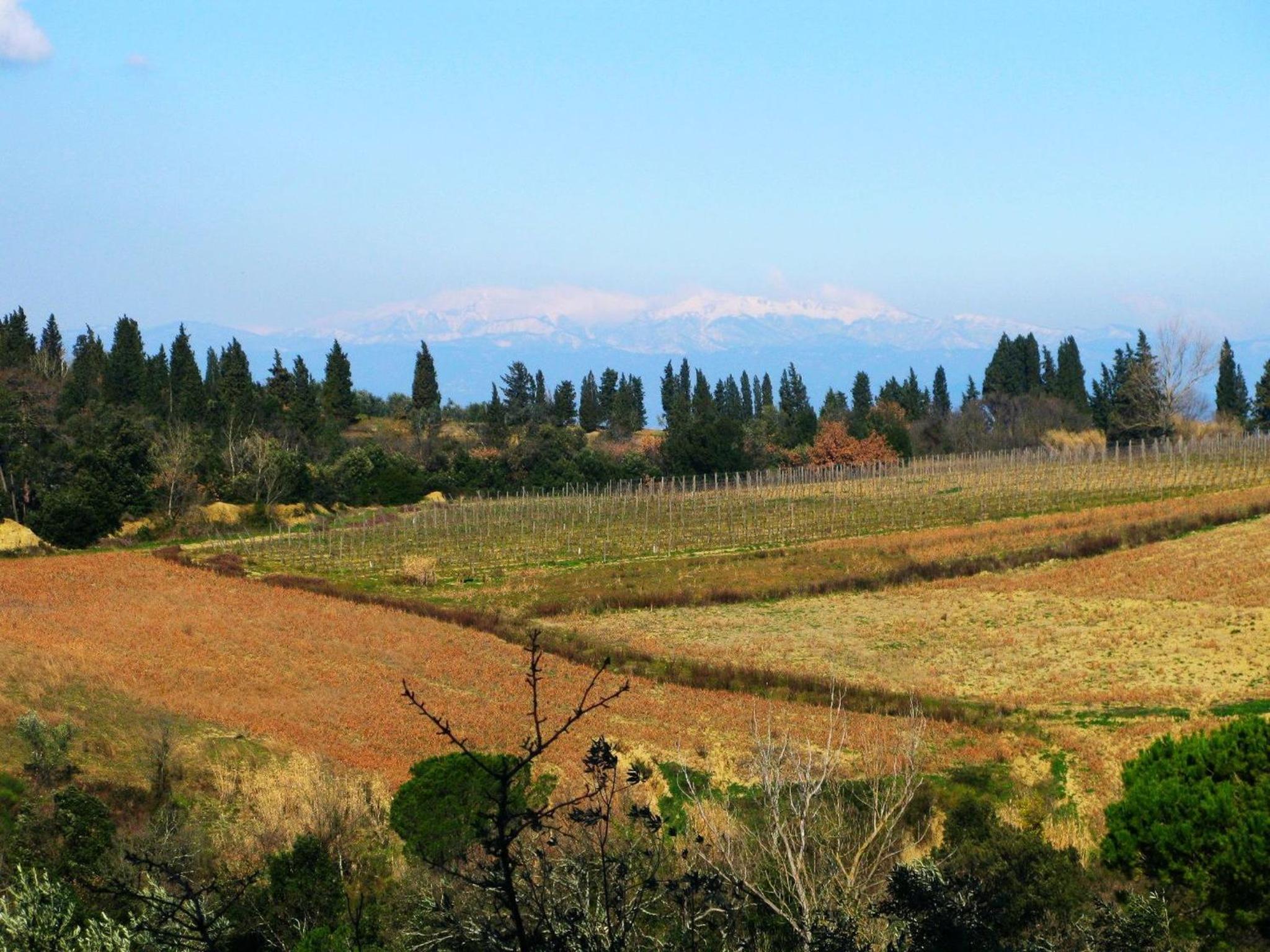 Agriturismo Martignana Alta