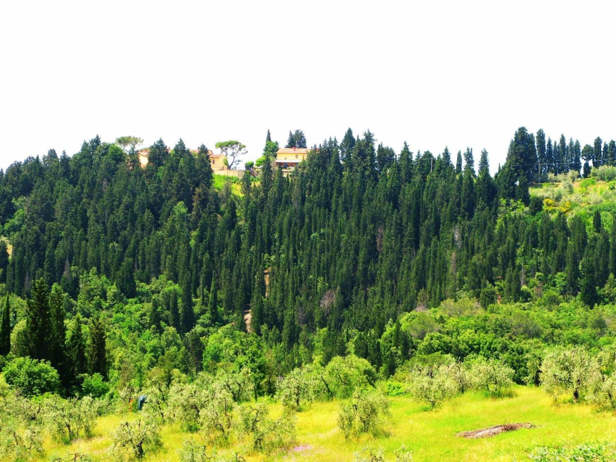 Agriturismo Martignana Alta