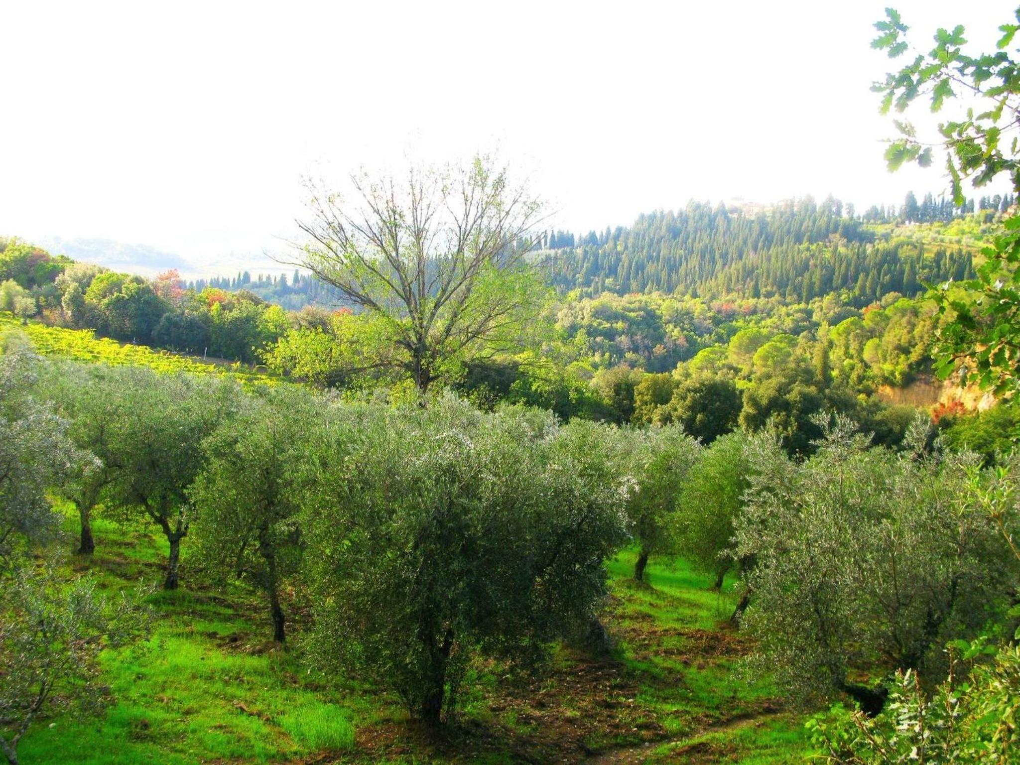 Agriturismo Martignana Alta