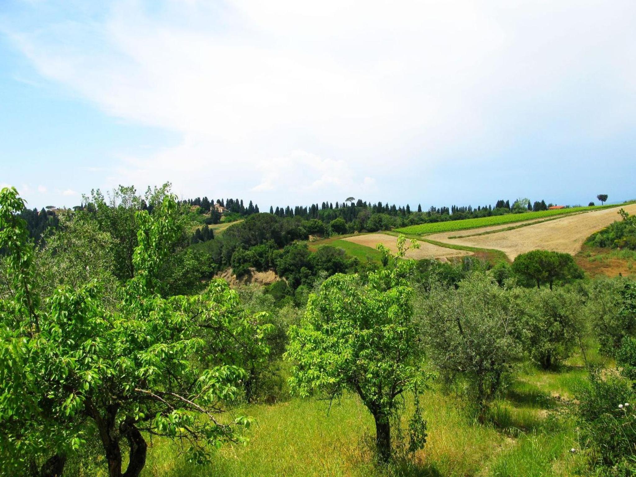 Agriturismo Martignana Alta