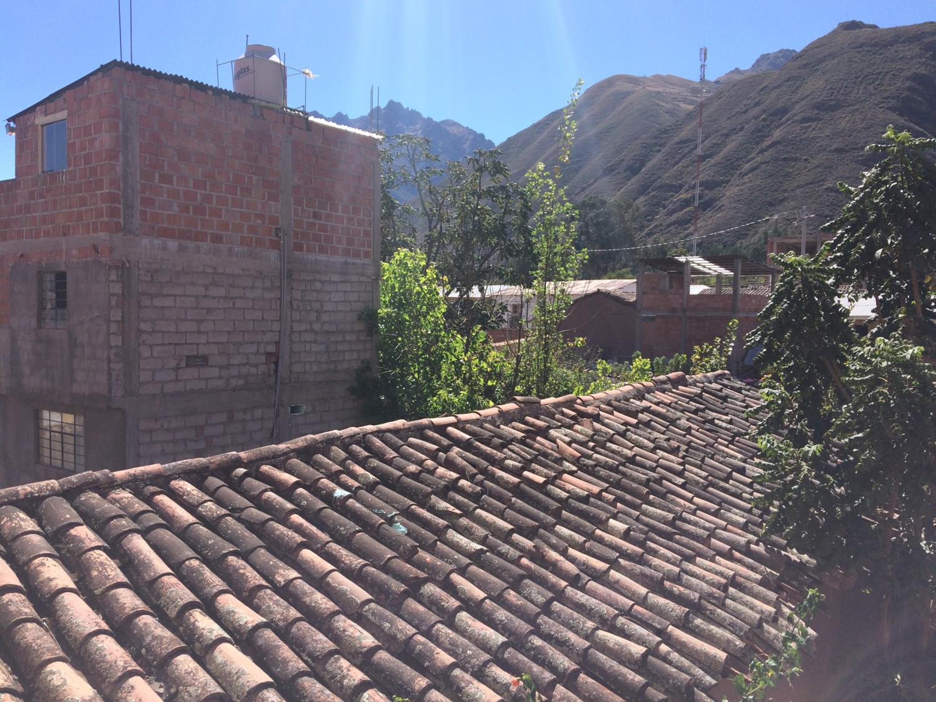 Photo 44