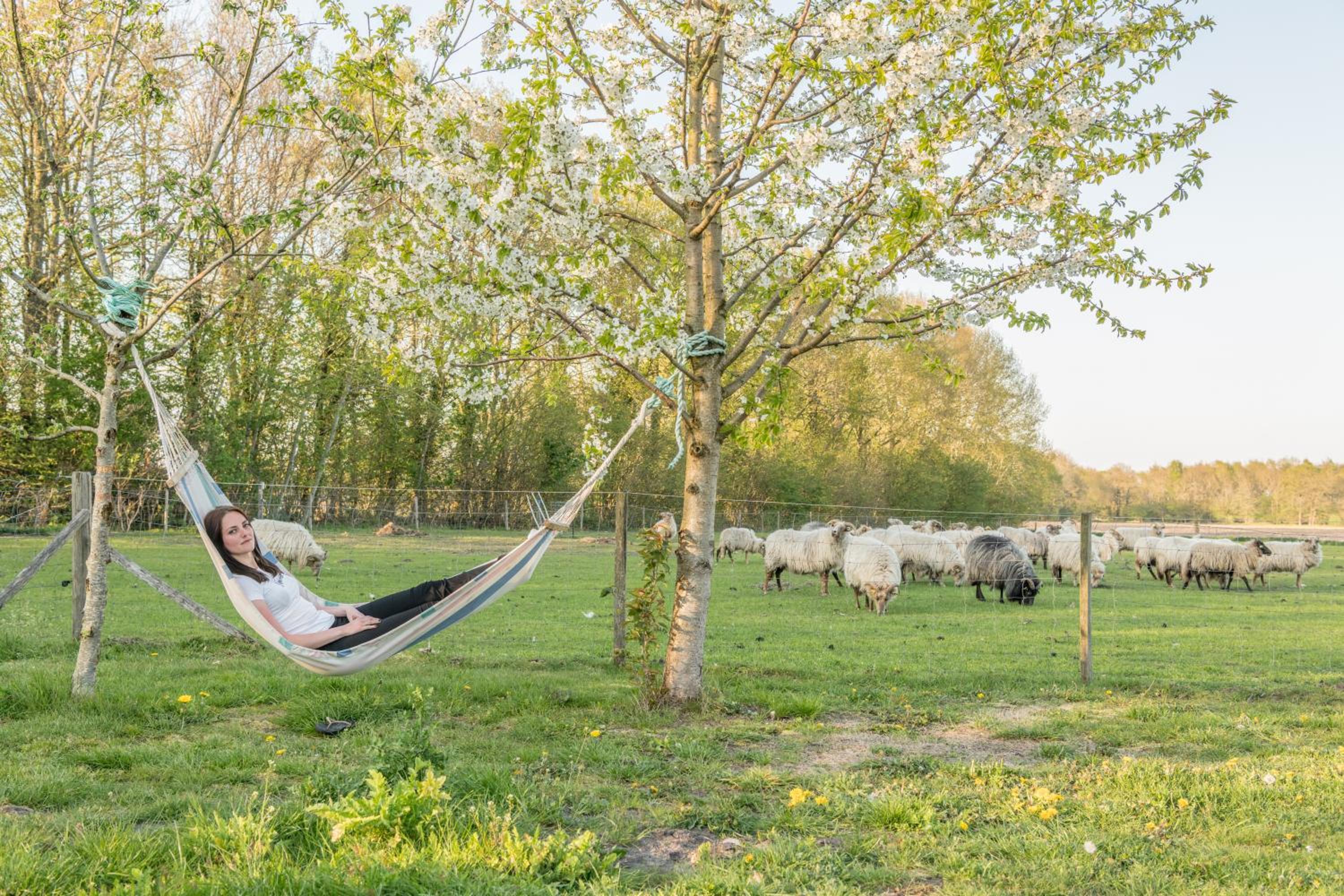Pipowagen Lidewei Groningen Westerwolde unieke ligging met eigen tuin en vrij uitzicht over veld naar natuurgebied