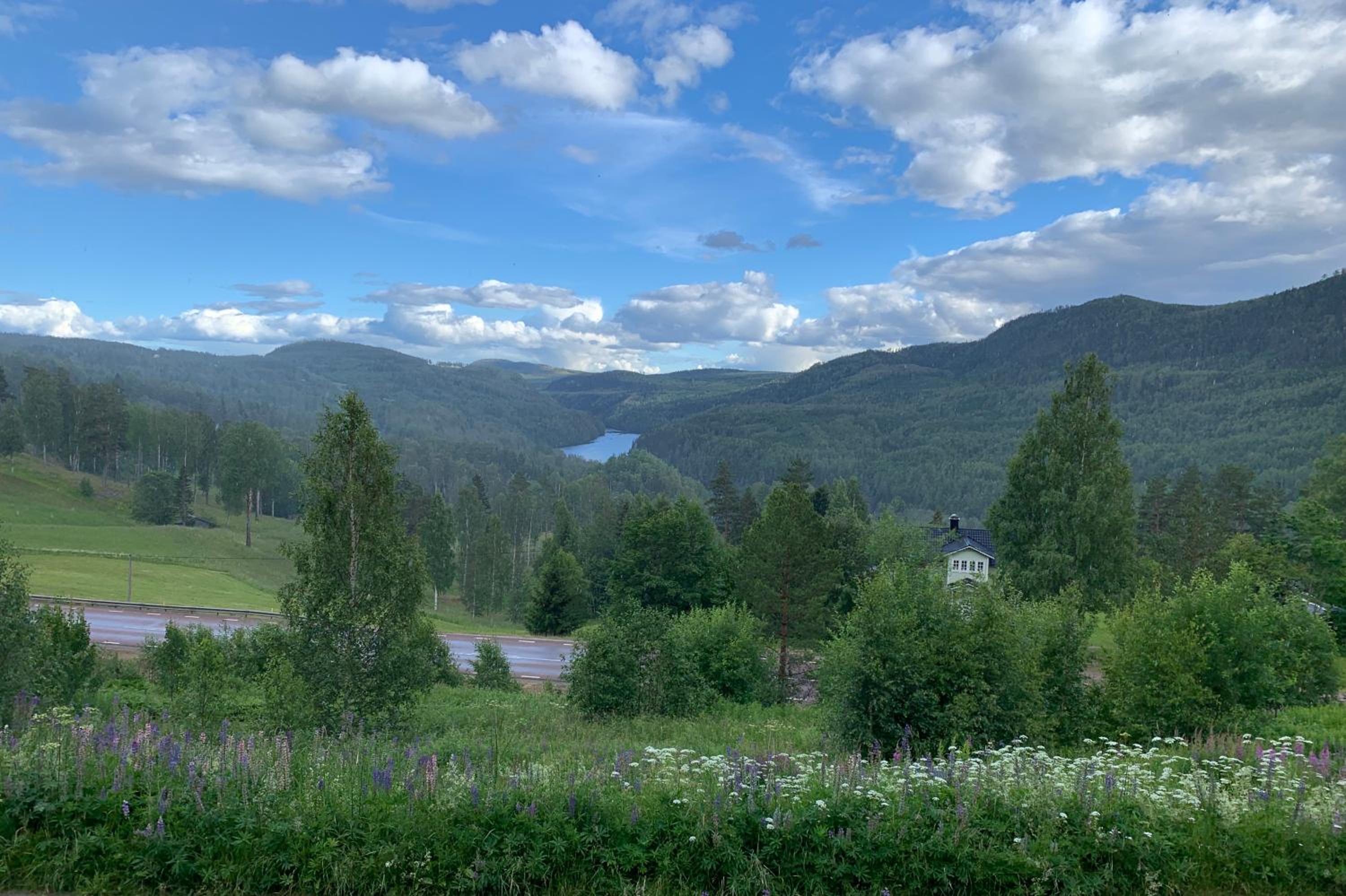 Utsiktens turistgård view 5
