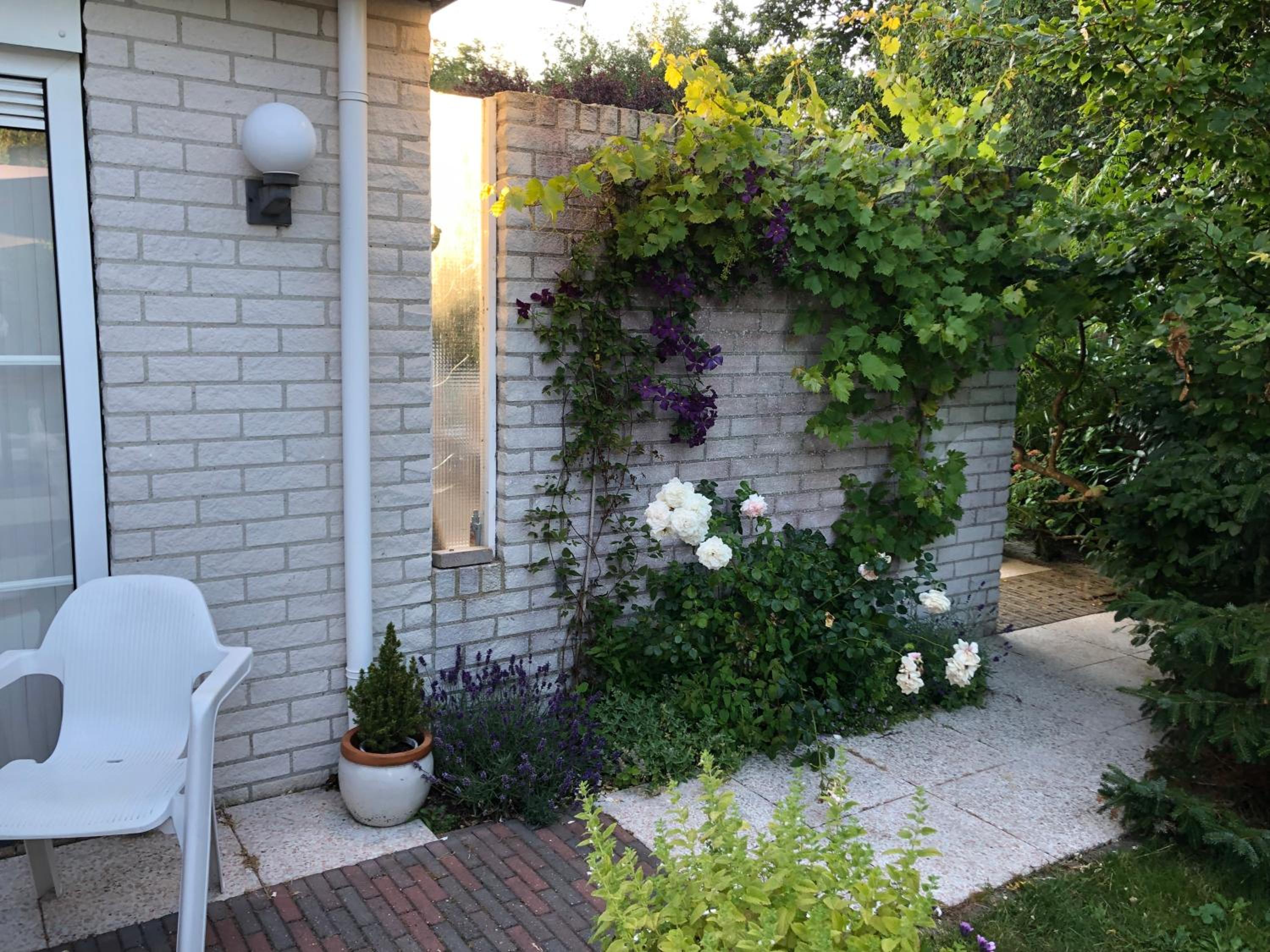 Photo 29