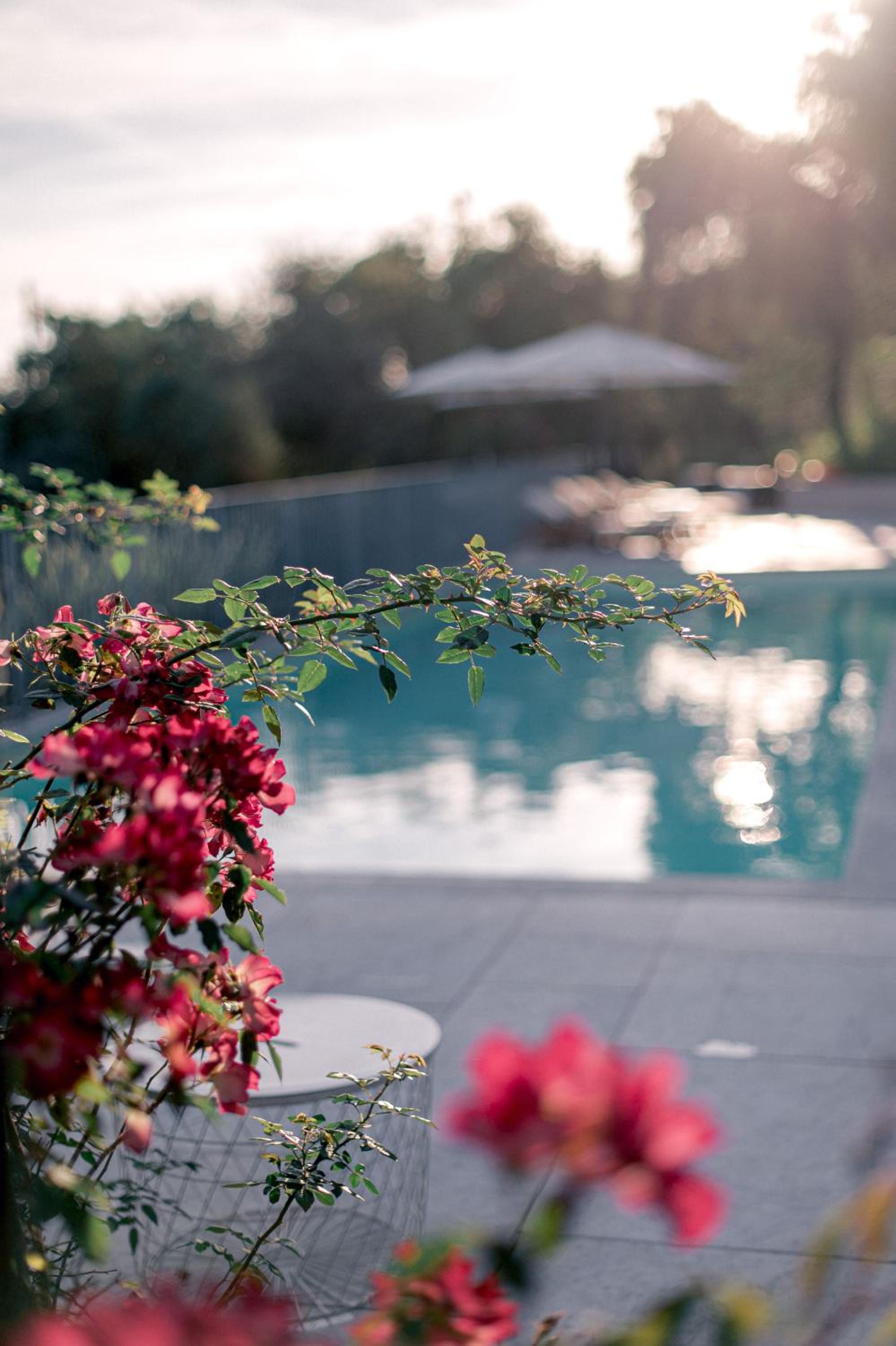 Relais Montepepe Winery & Spa