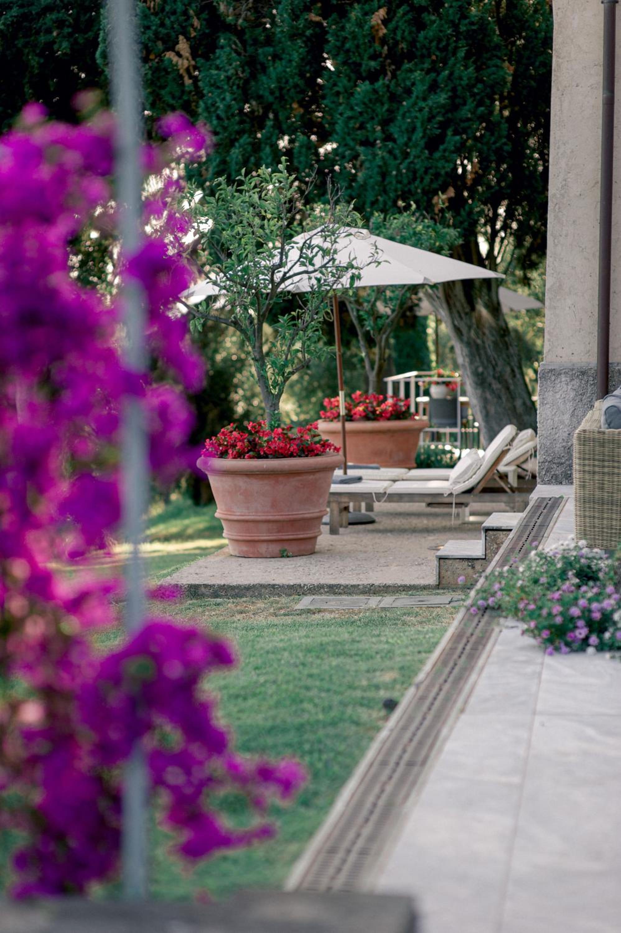 Relais Montepepe Winery & Spa