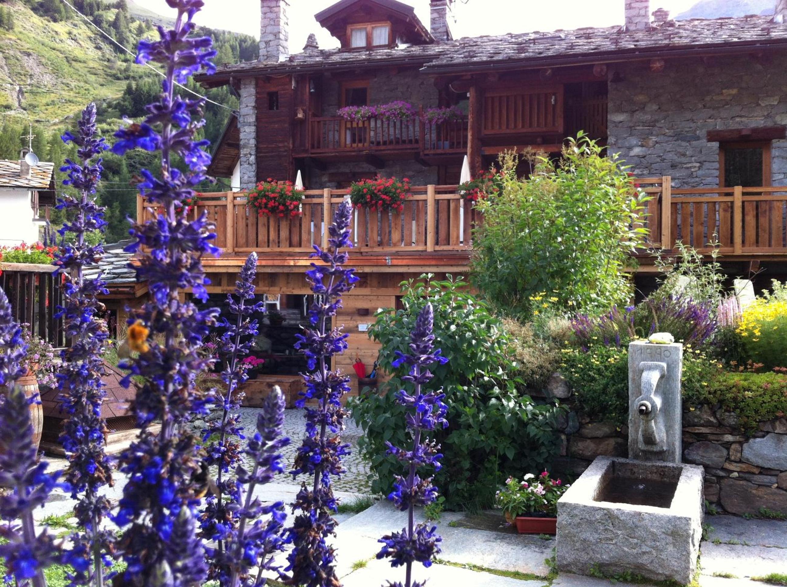 Photo 15