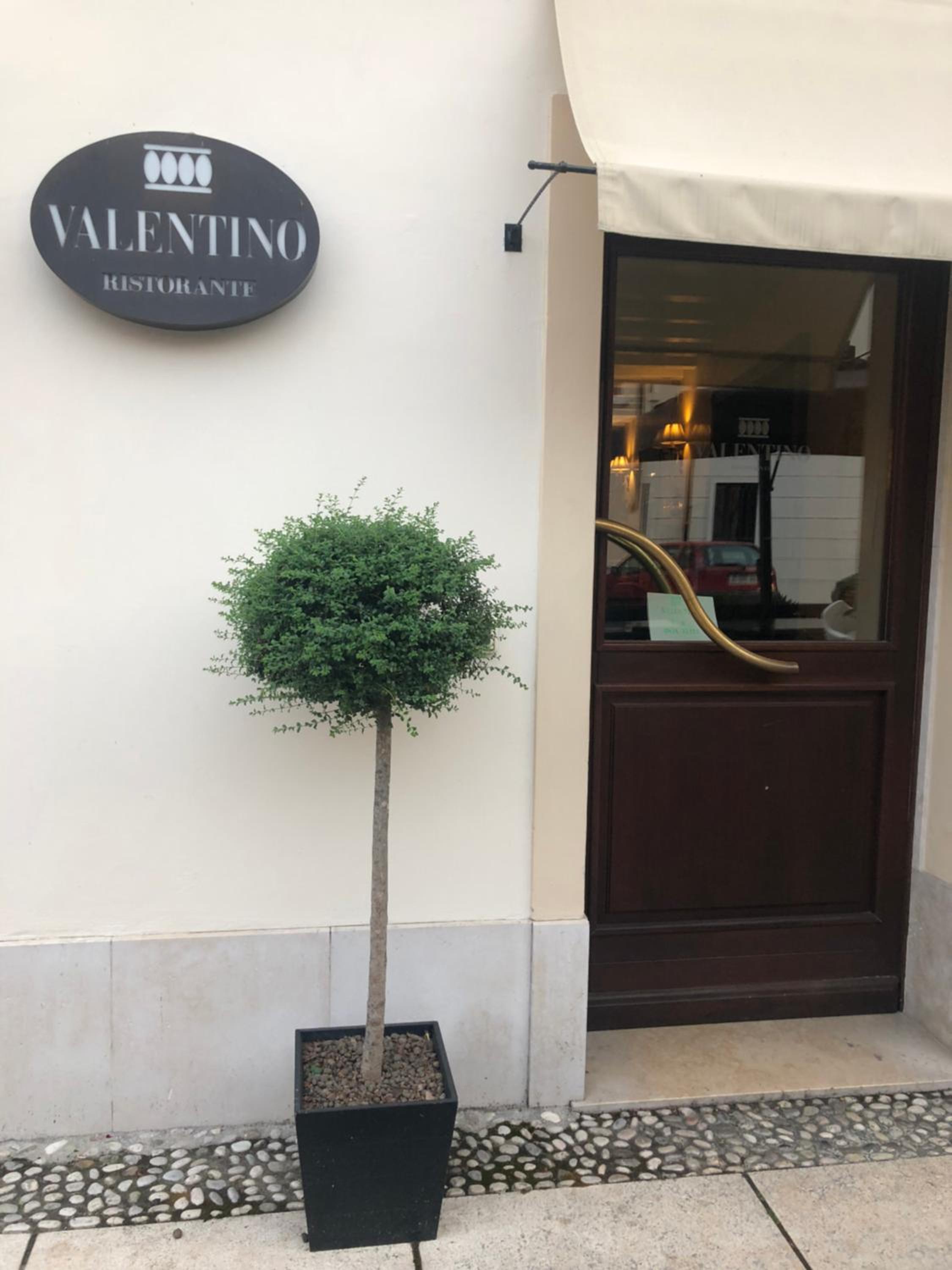 Valentino view 4