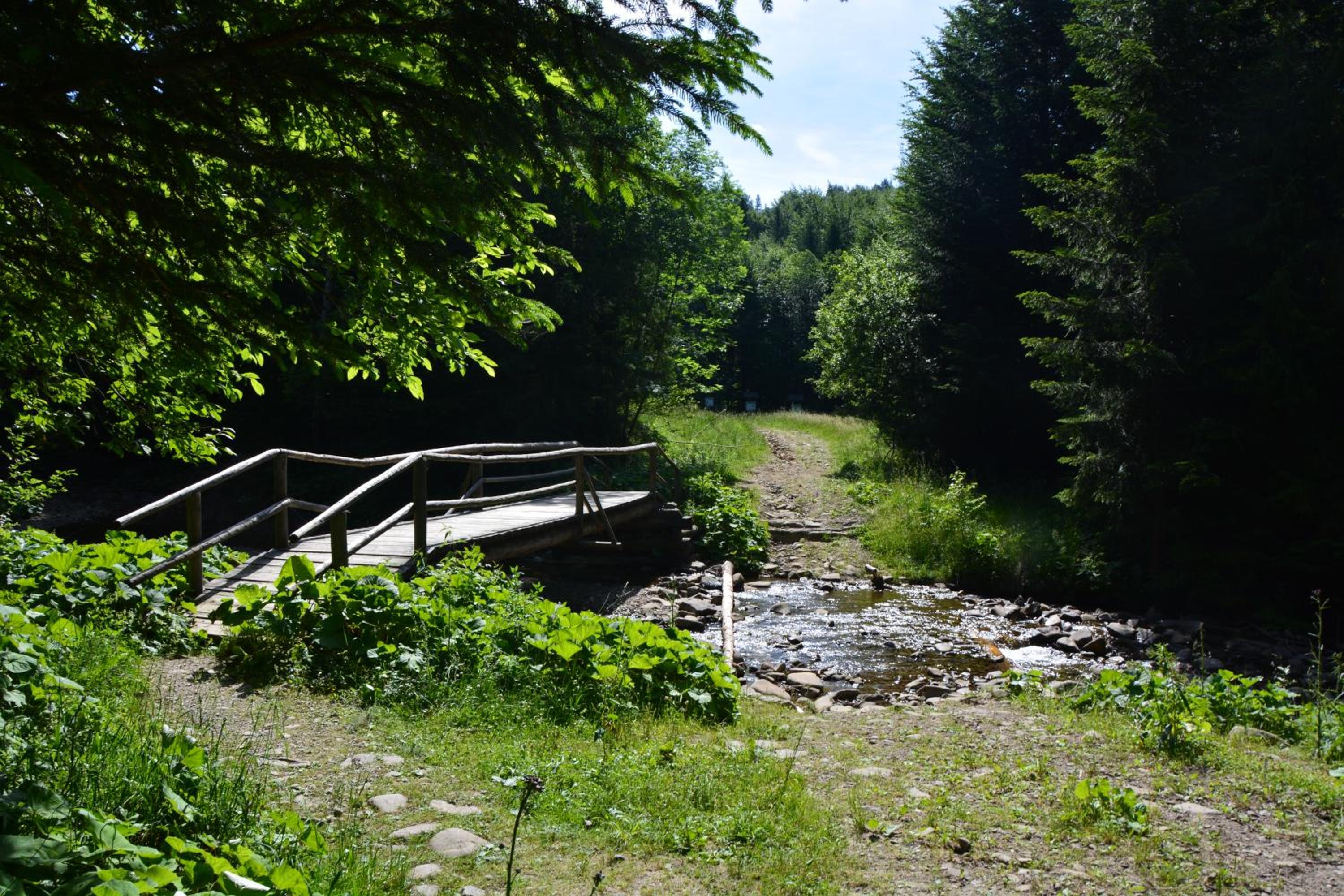 Zawojka, photo 13