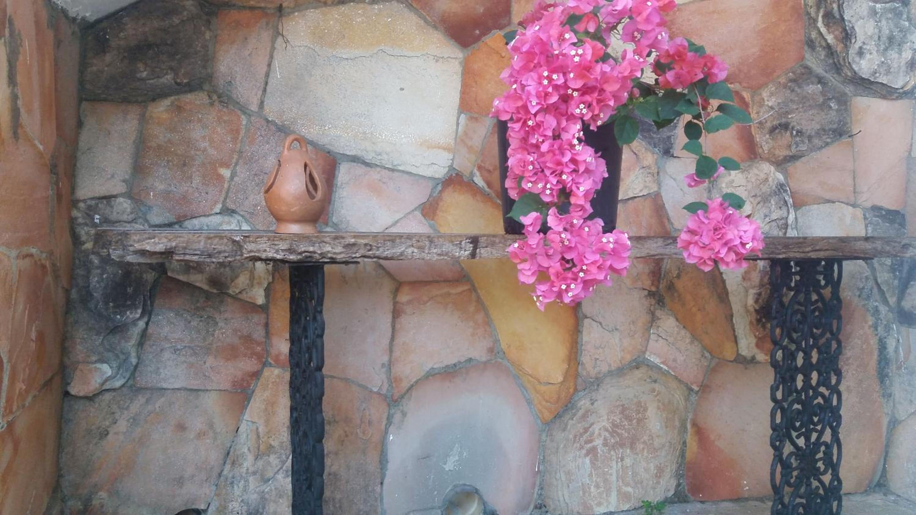 Photo 49