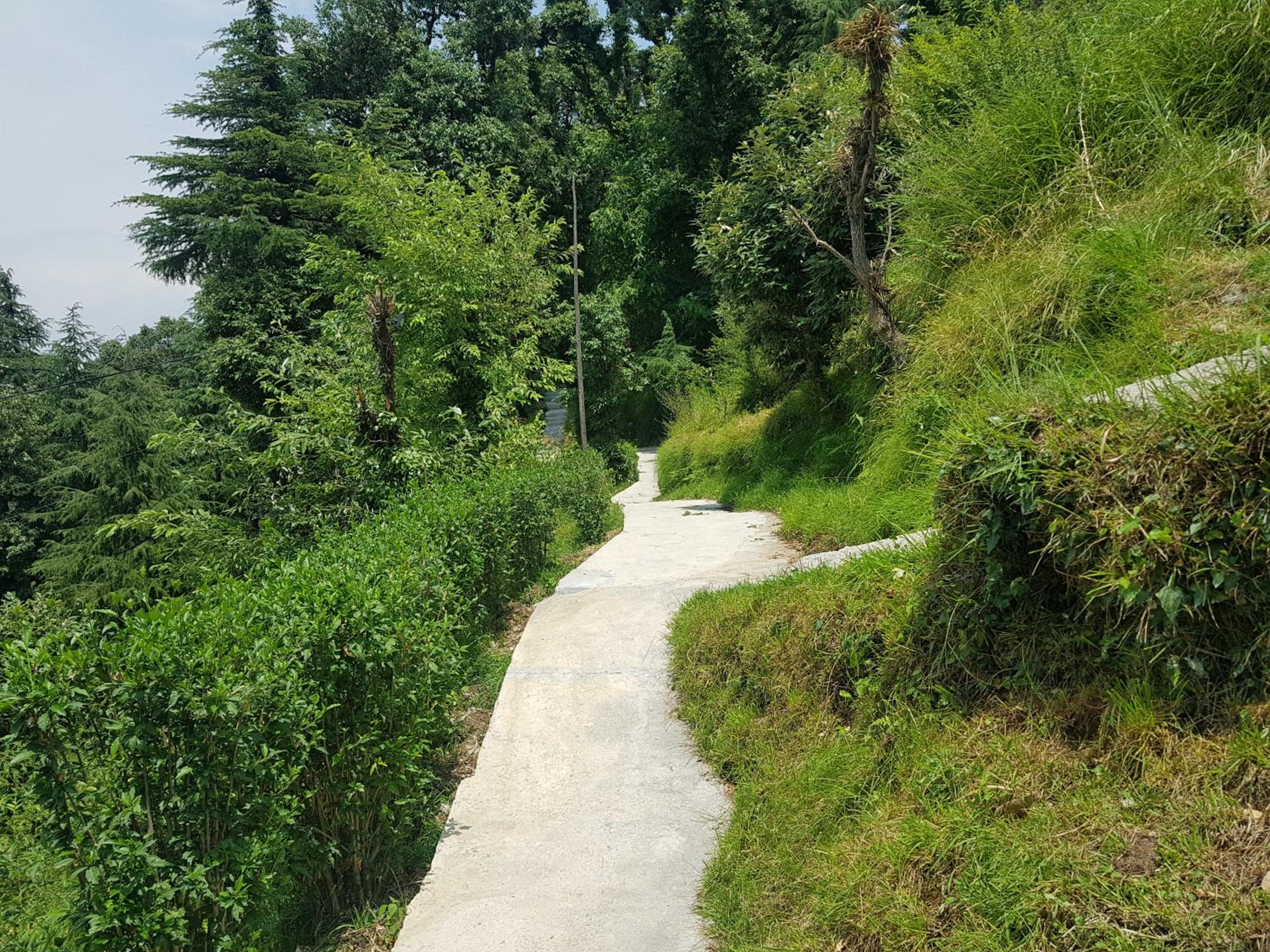 Photo 11