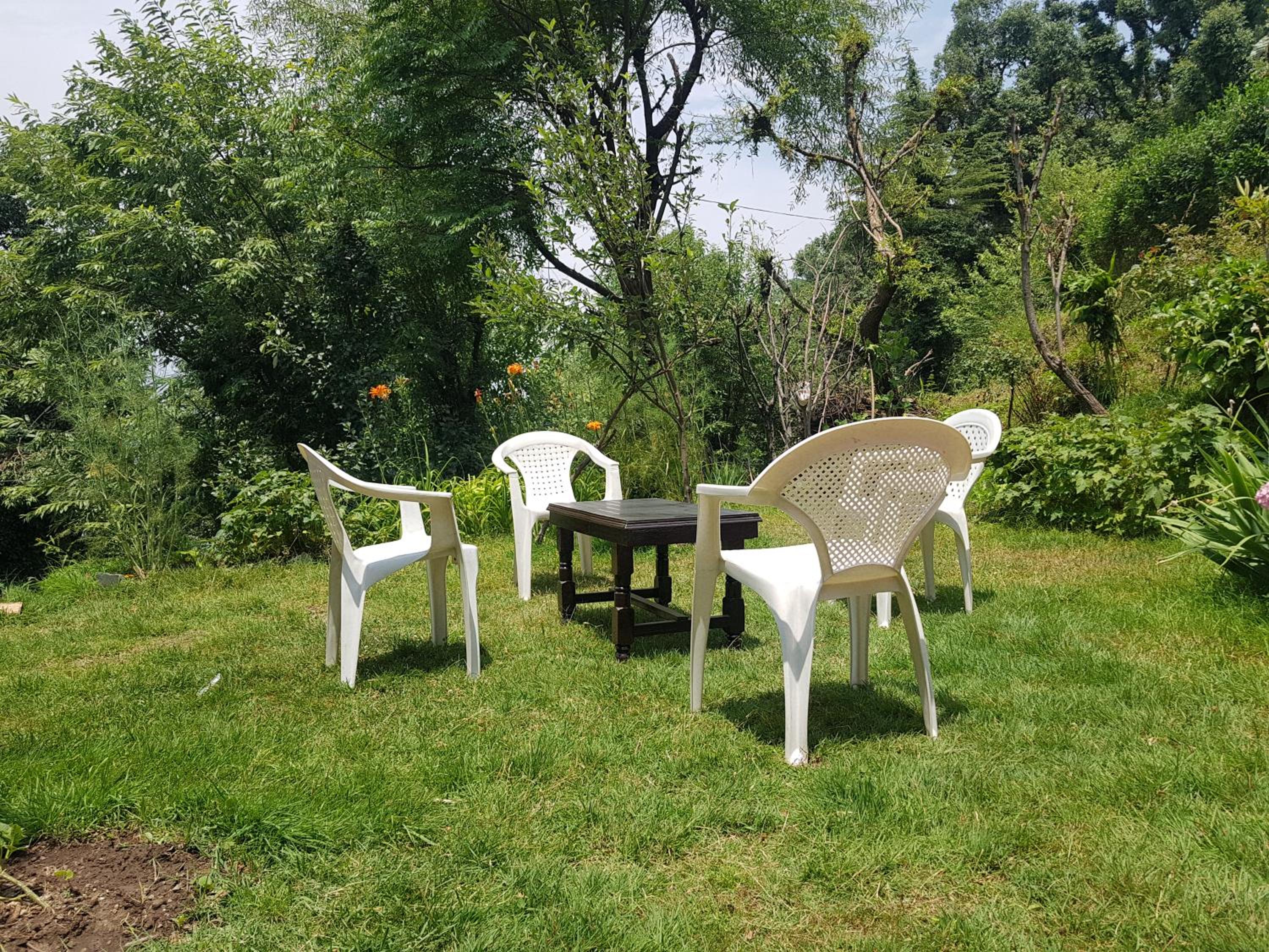 Photo 42