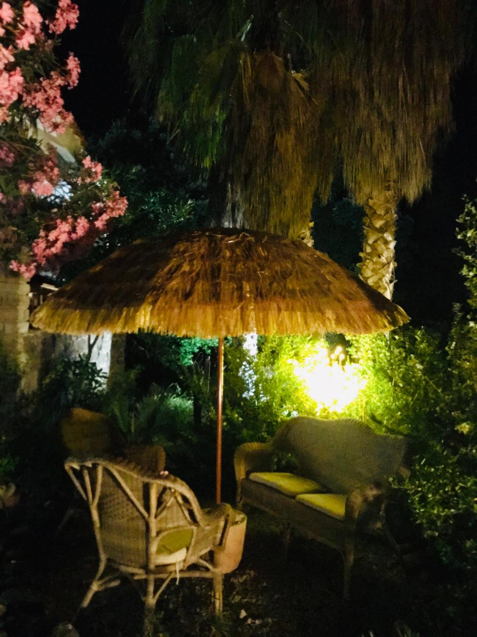 Vign'Alva, photo 6