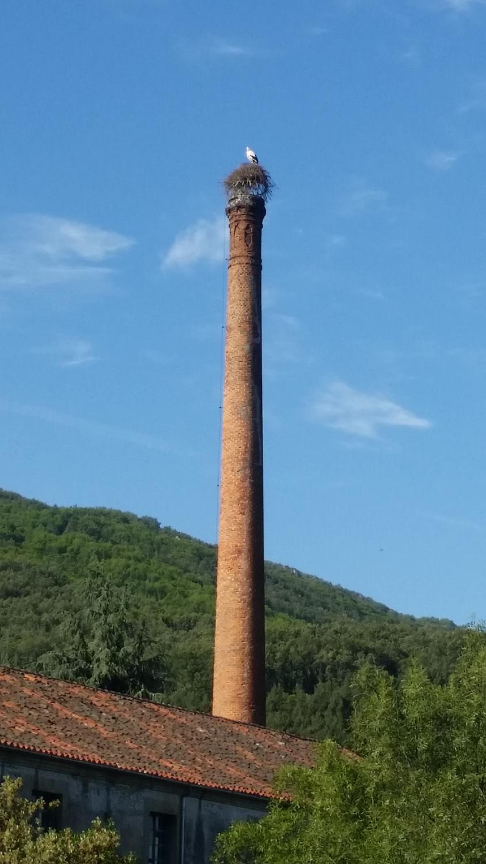 La Covatilla III