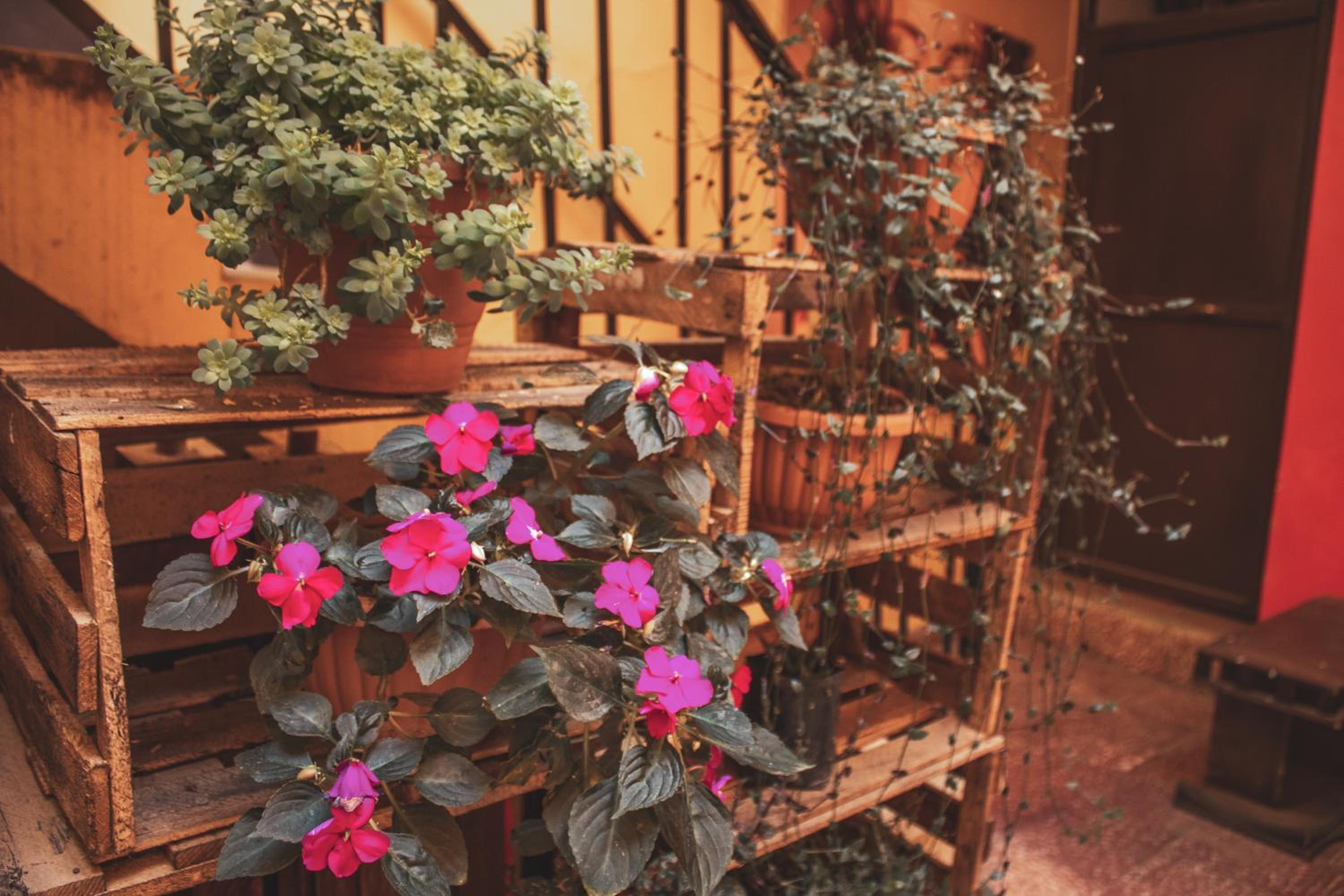 Colors House