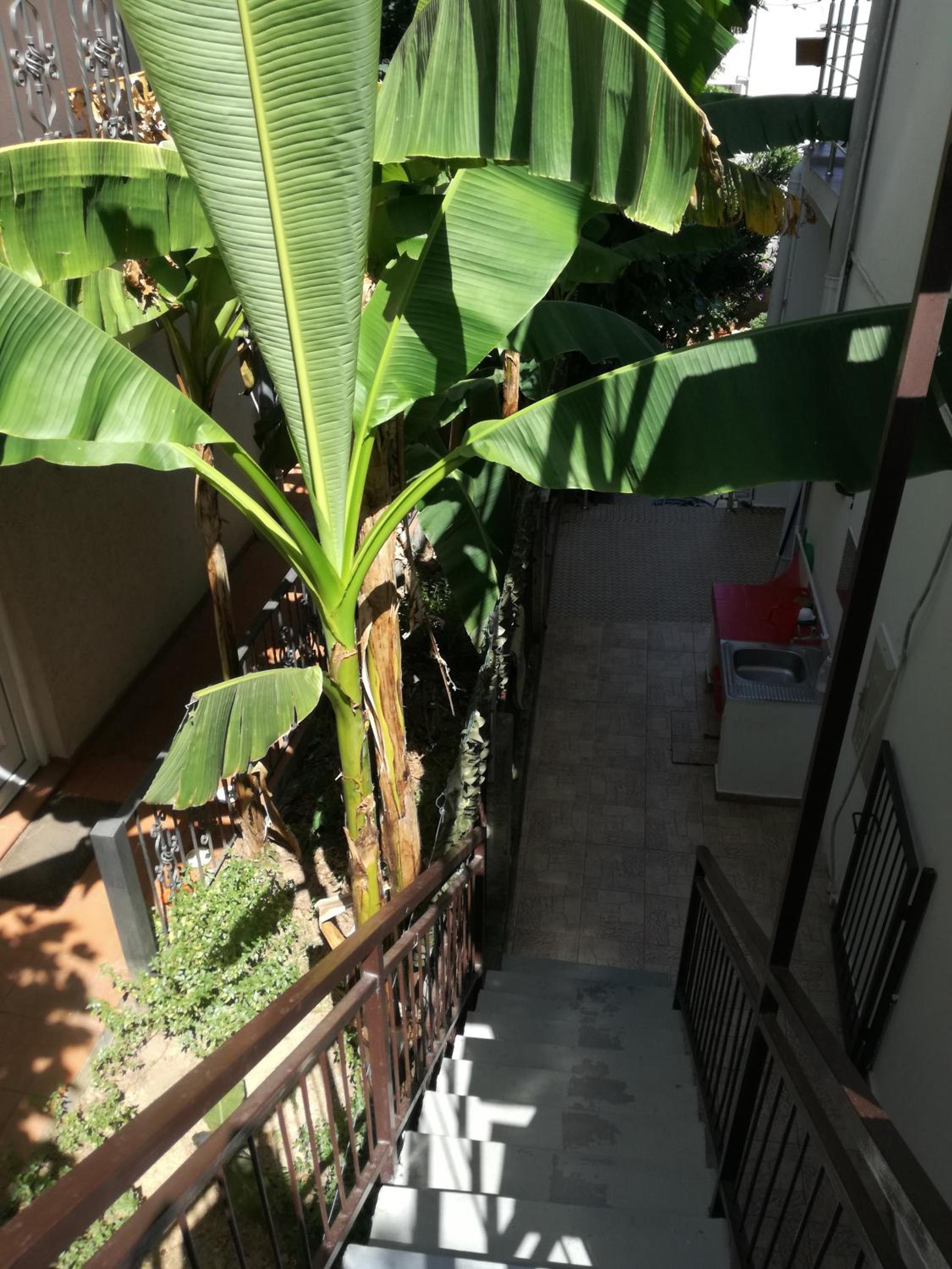 Guest House Vila Bak photo 4