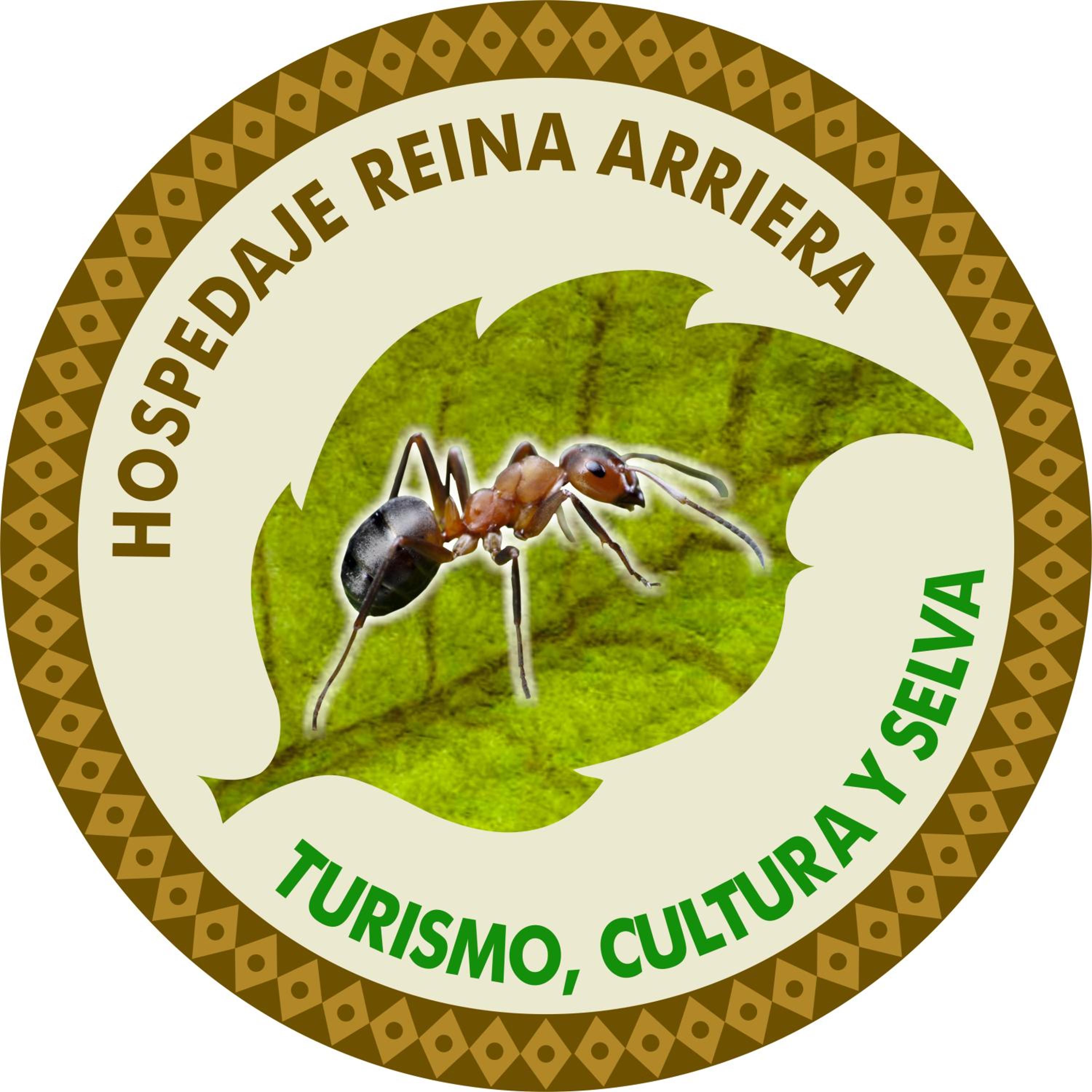 Hospedaje y tours Reina Arriera amazonas colombia view 4