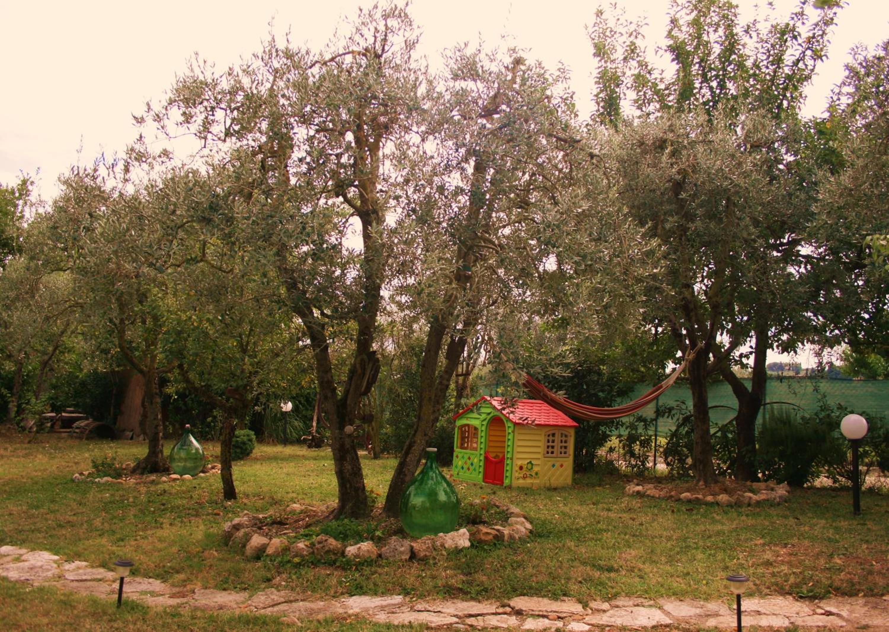 Photo 18