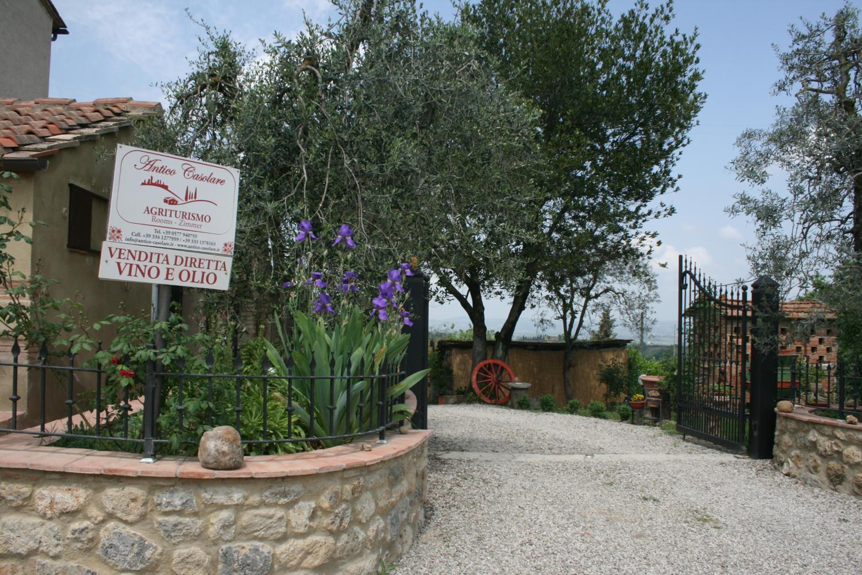 Photo 20
