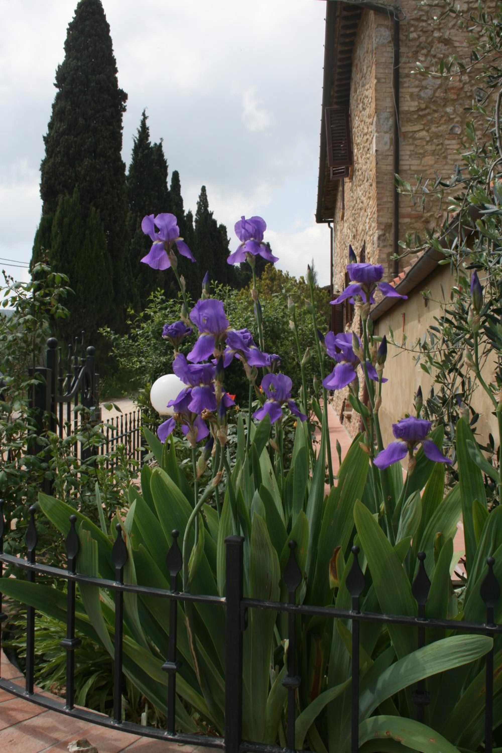 Photo 19