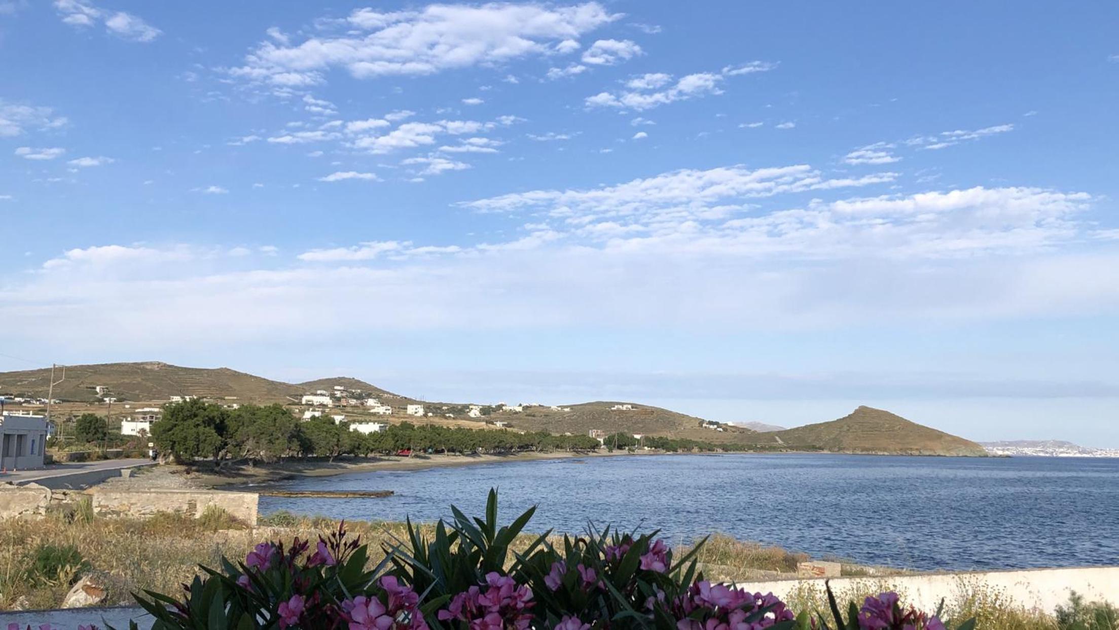 Villa Fokas Beach View photo 2