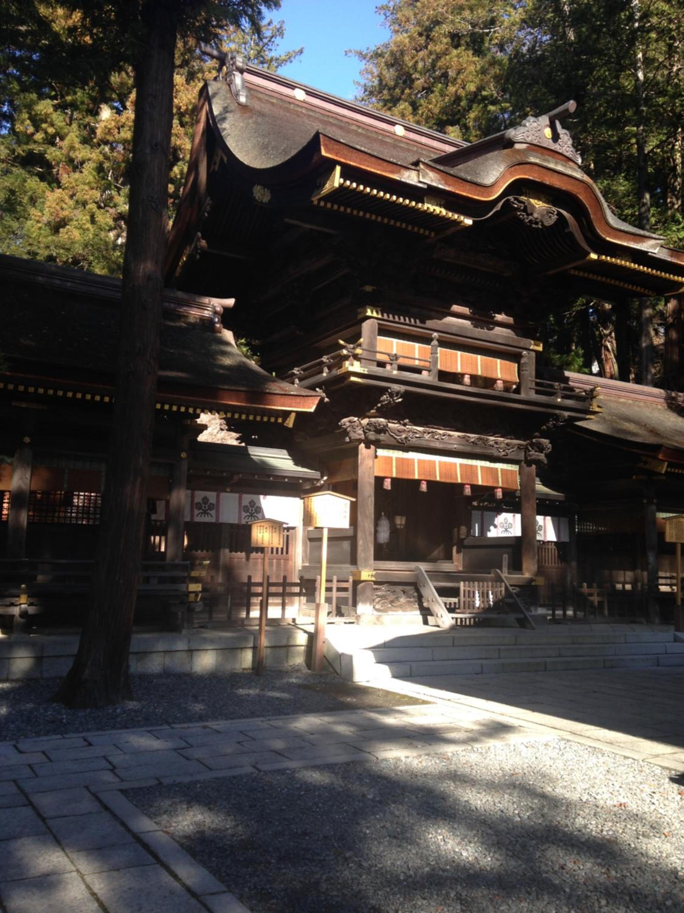Photo 23