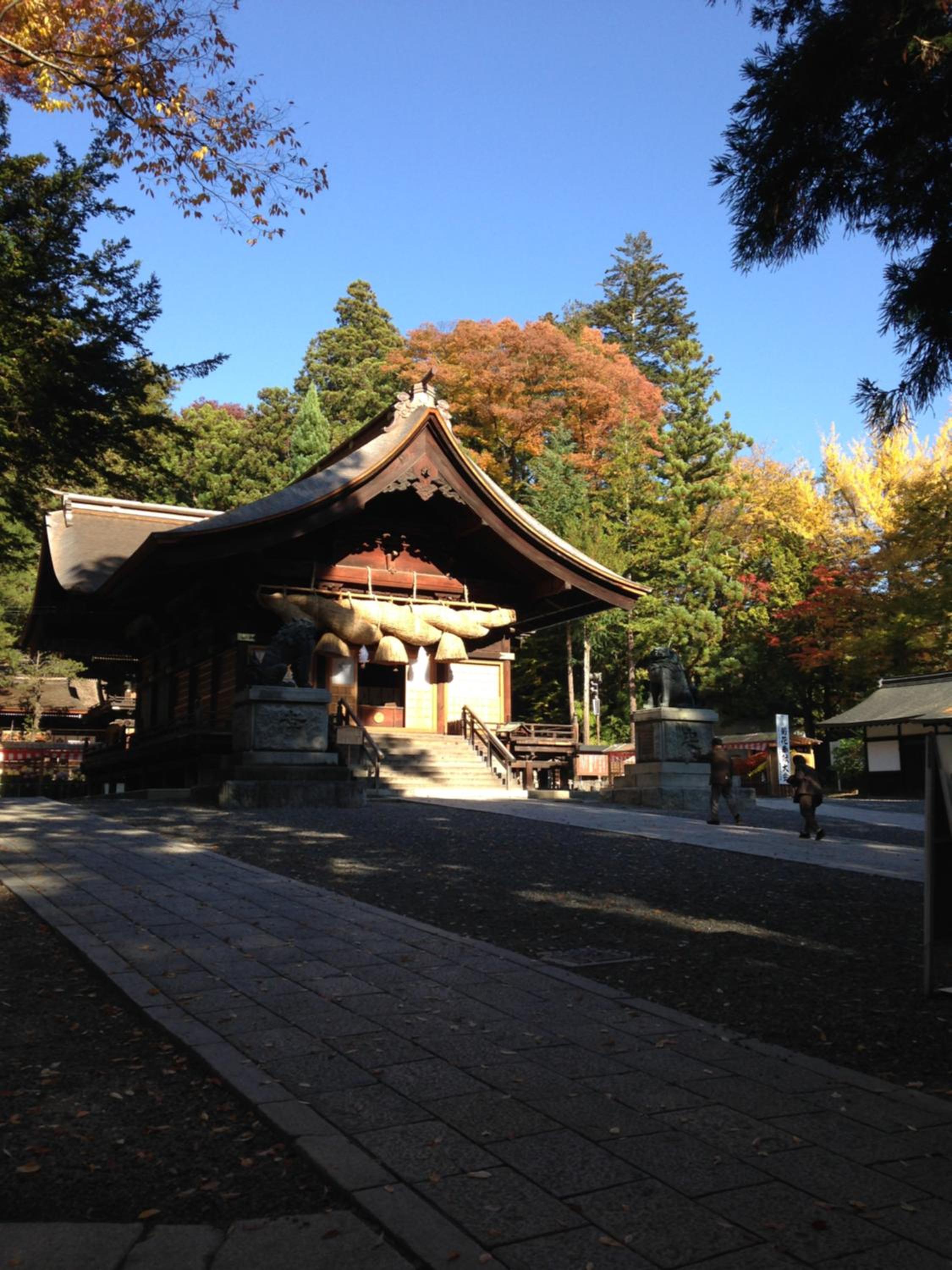 Photo 24