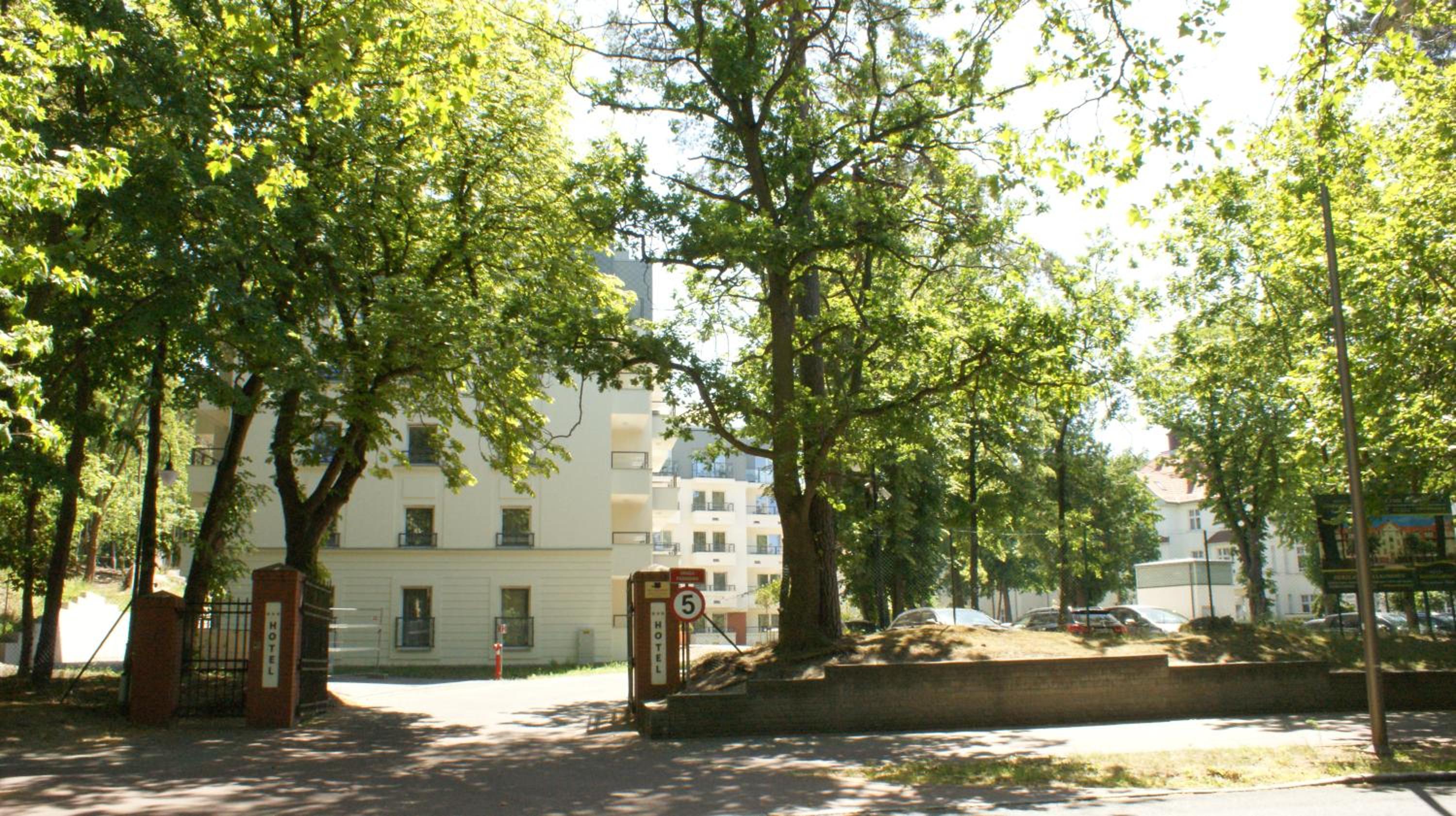 Photo 53