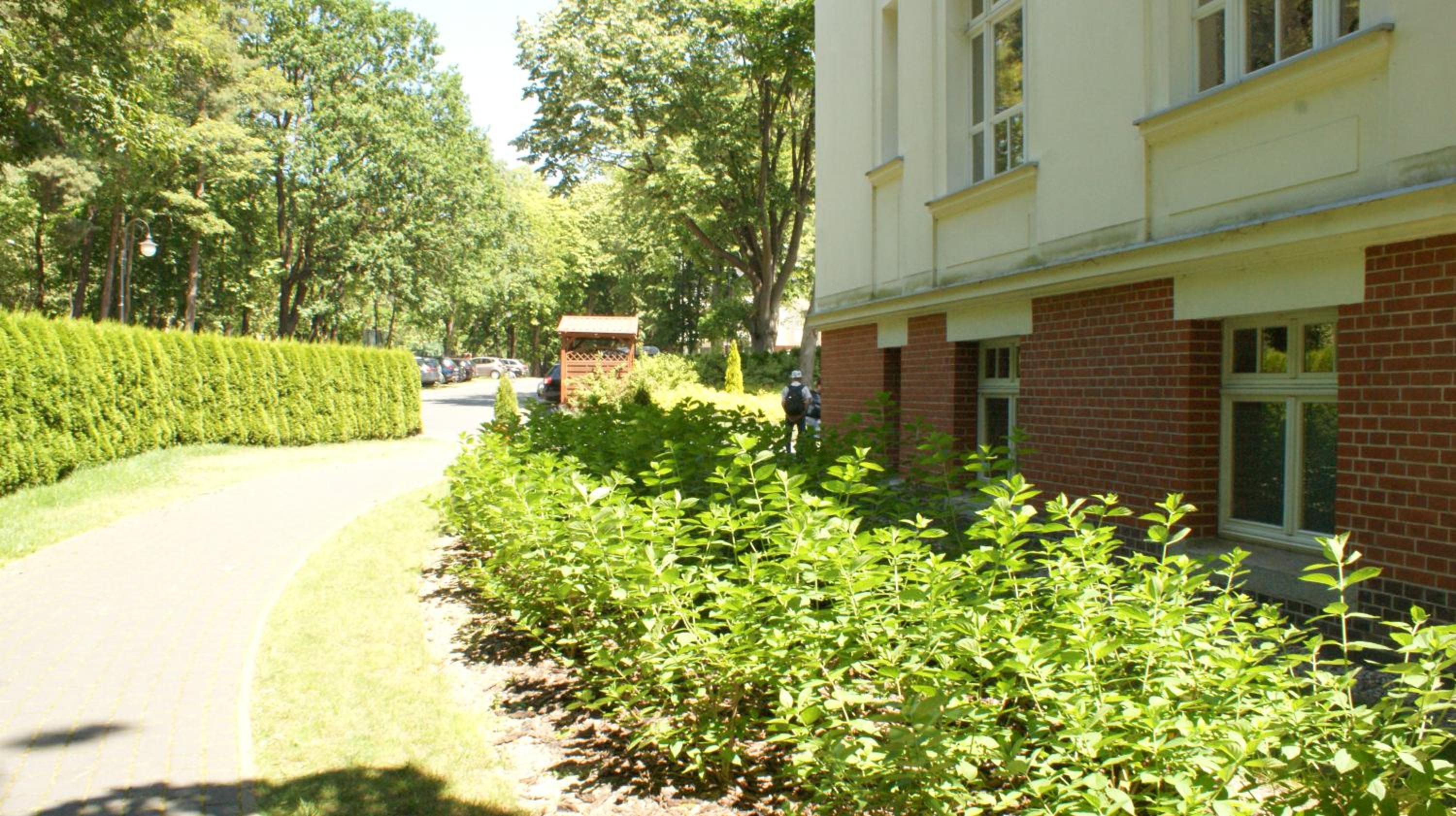 Photo 51
