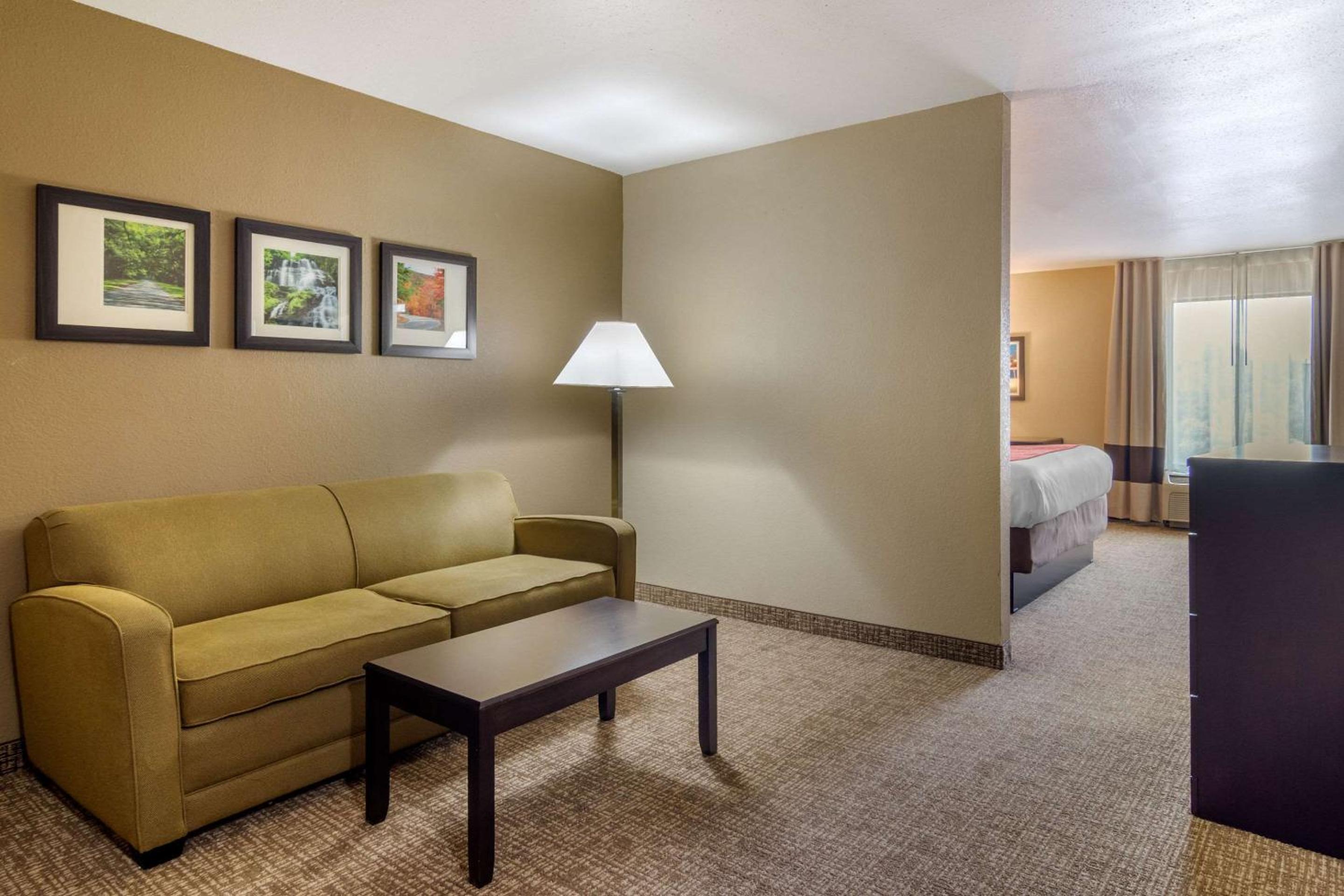 Perry Vacations - Comfort Inn Suites Perry National Fairgrounds Area - Property Image 9