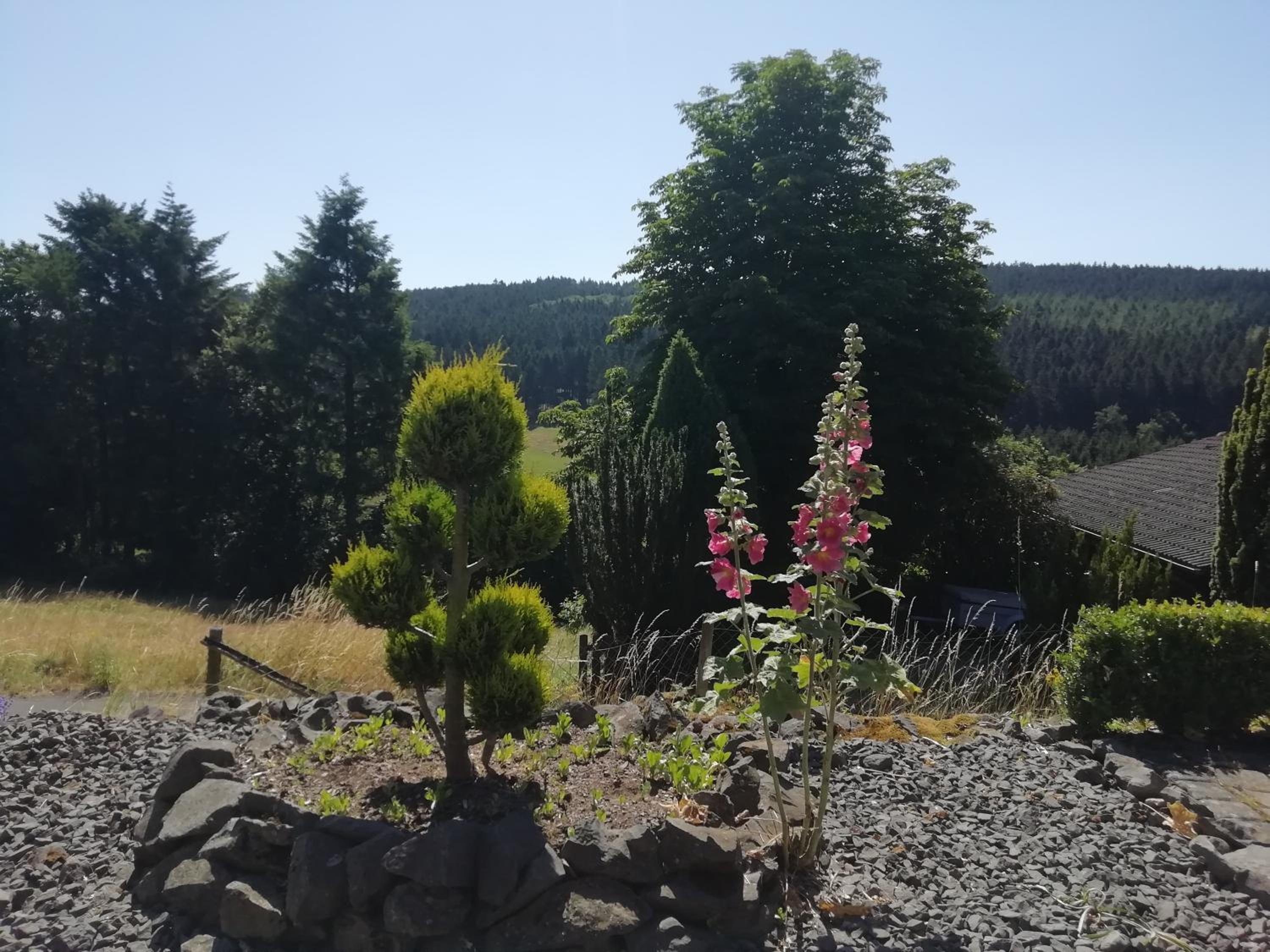 FeWO Koeppe view 5