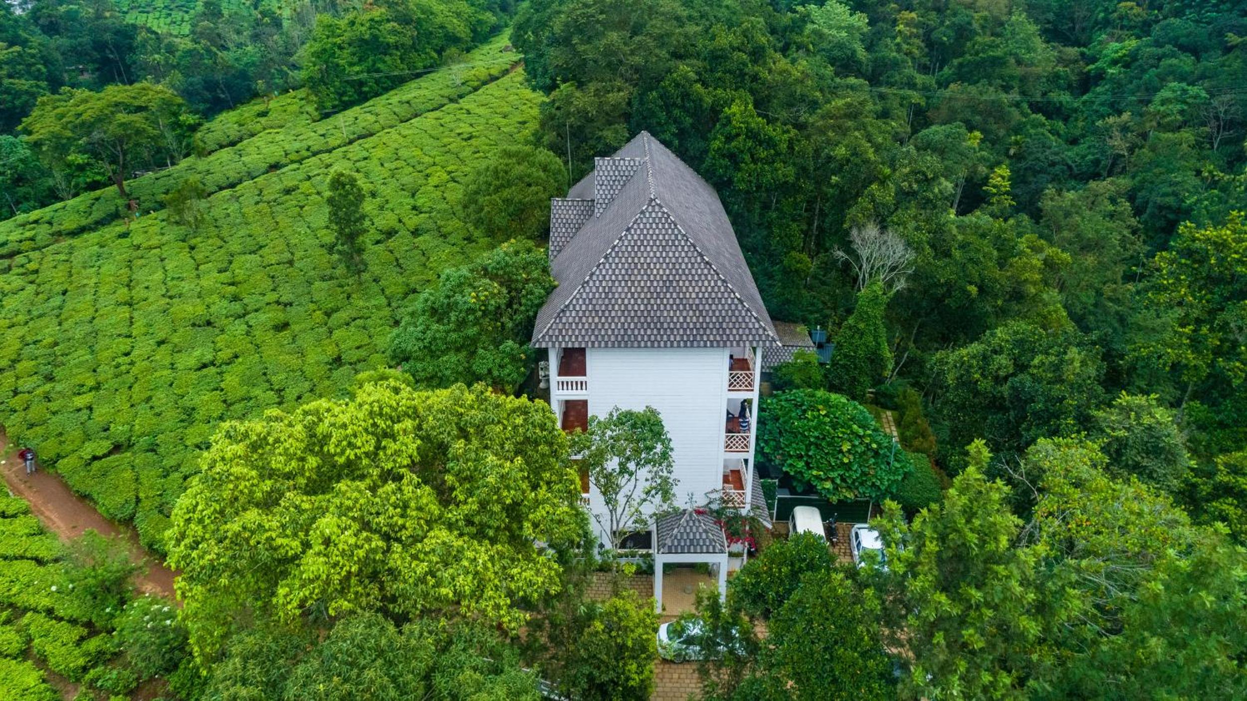 Tea Harvester