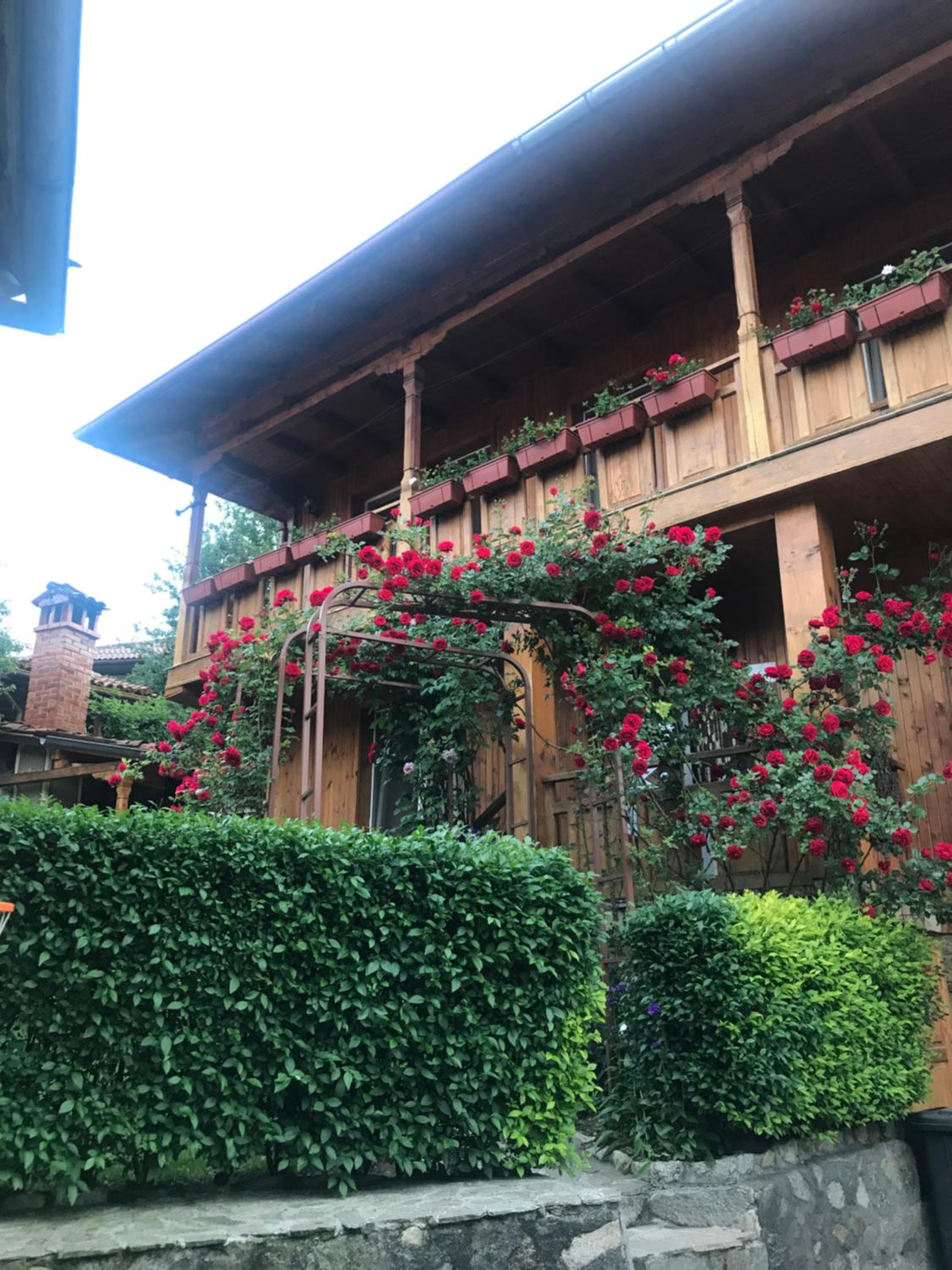 Guest House Roden Dom