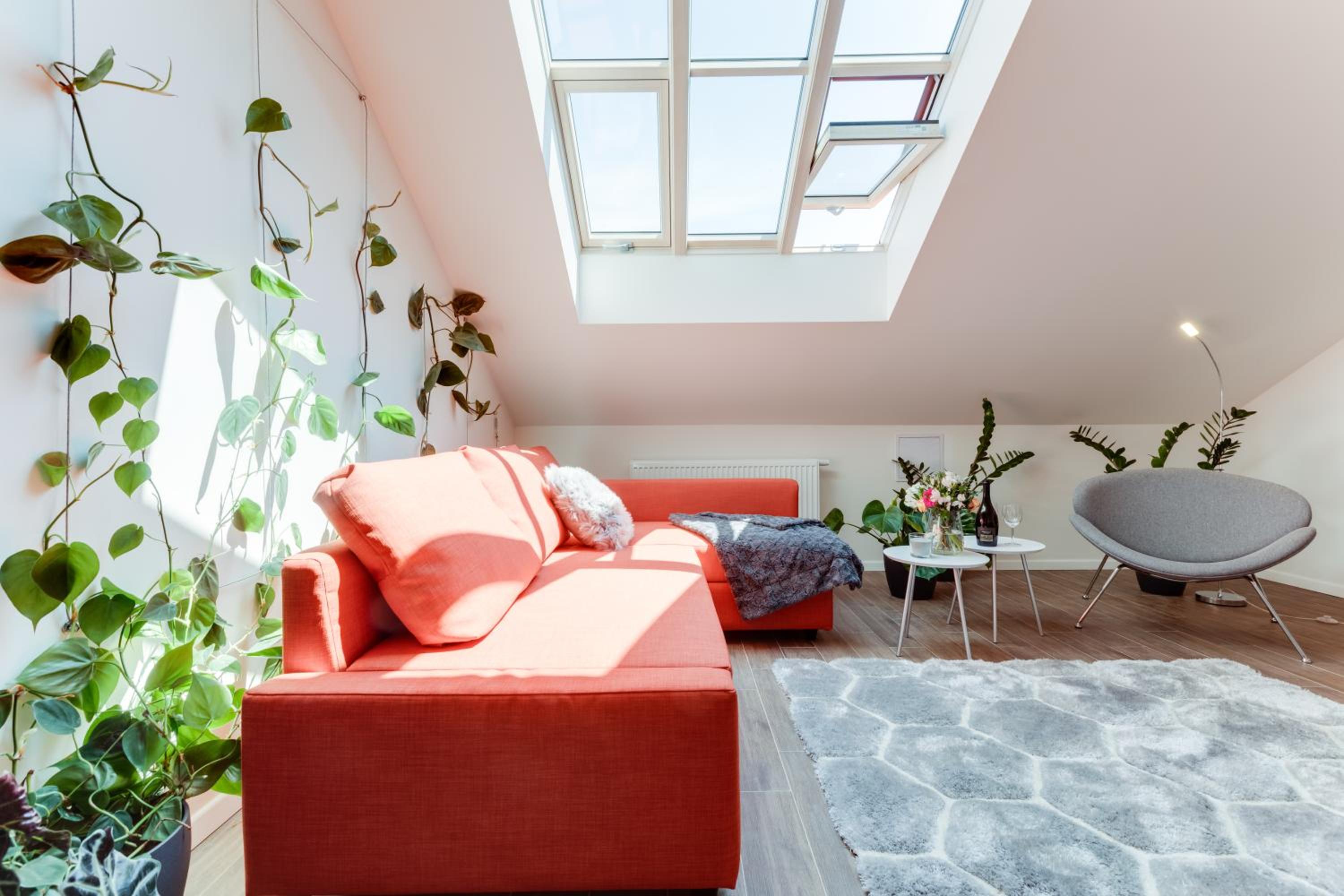 Garden apartment in the center - Leg12