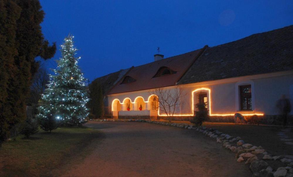 Sörényes Udvarház view 2