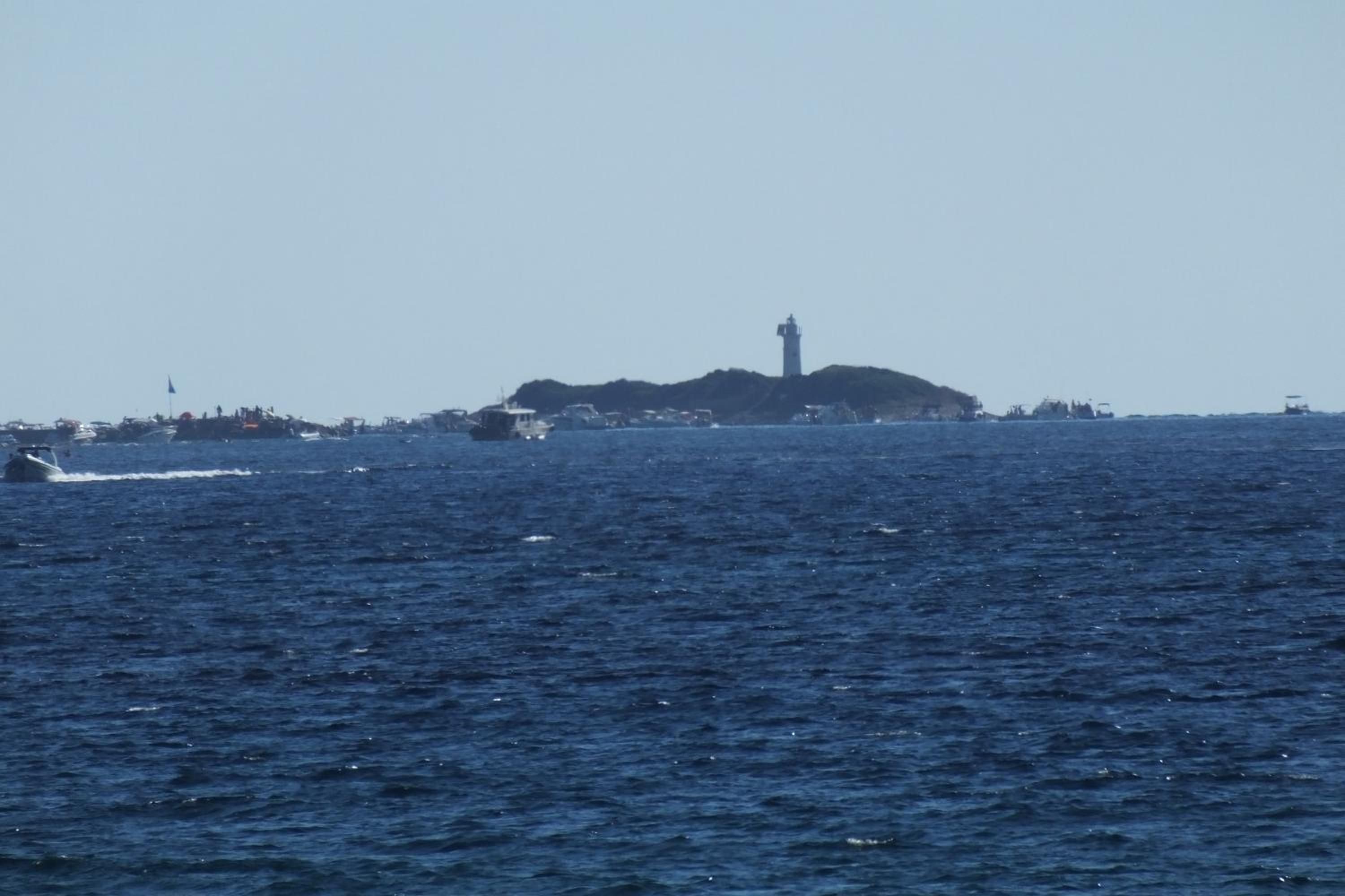 Photo 41