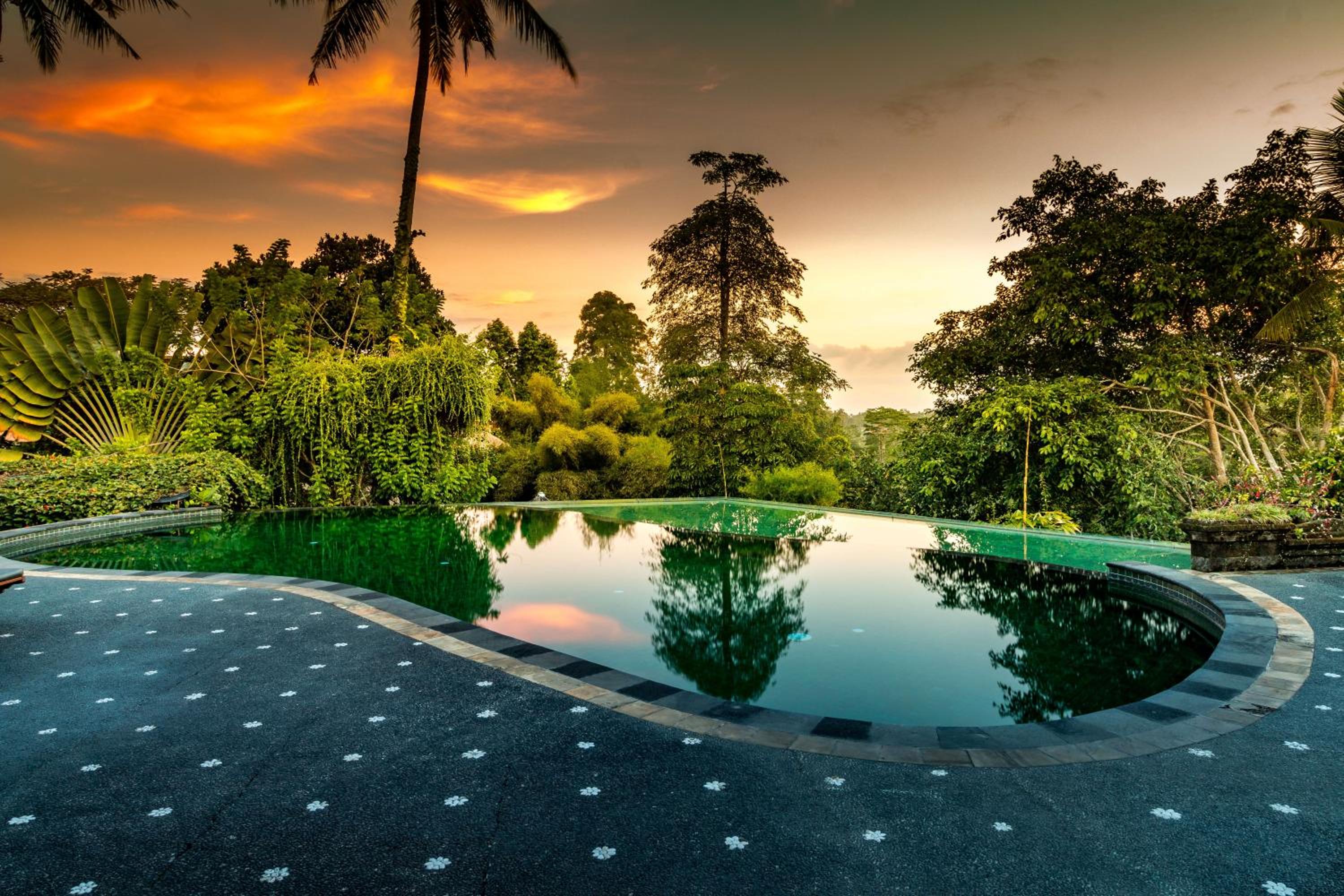 Tanah Merah Art Resort by AGATA - Image 2