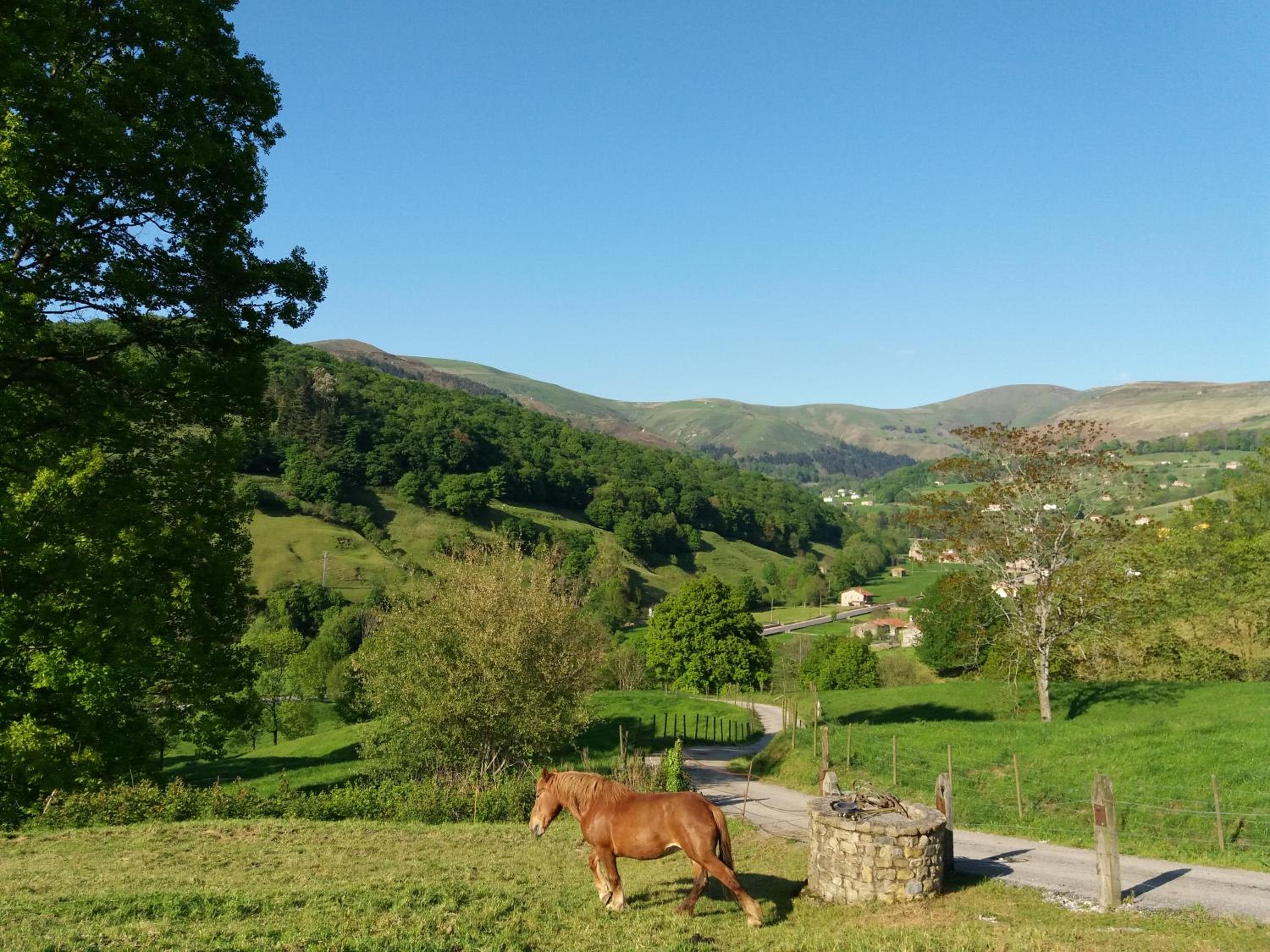 La Cabaña del Abuelo de Selaya