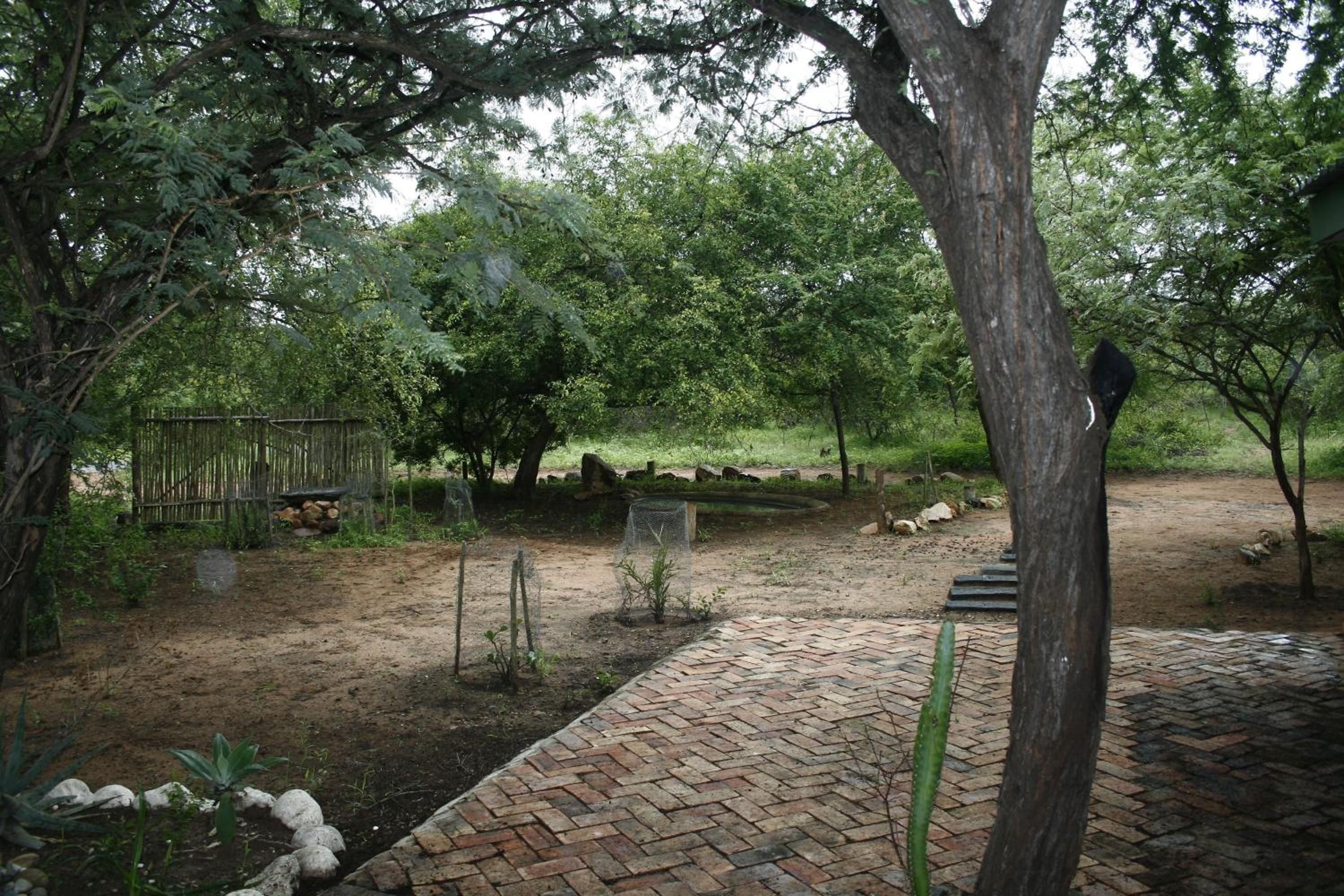 Photo 11