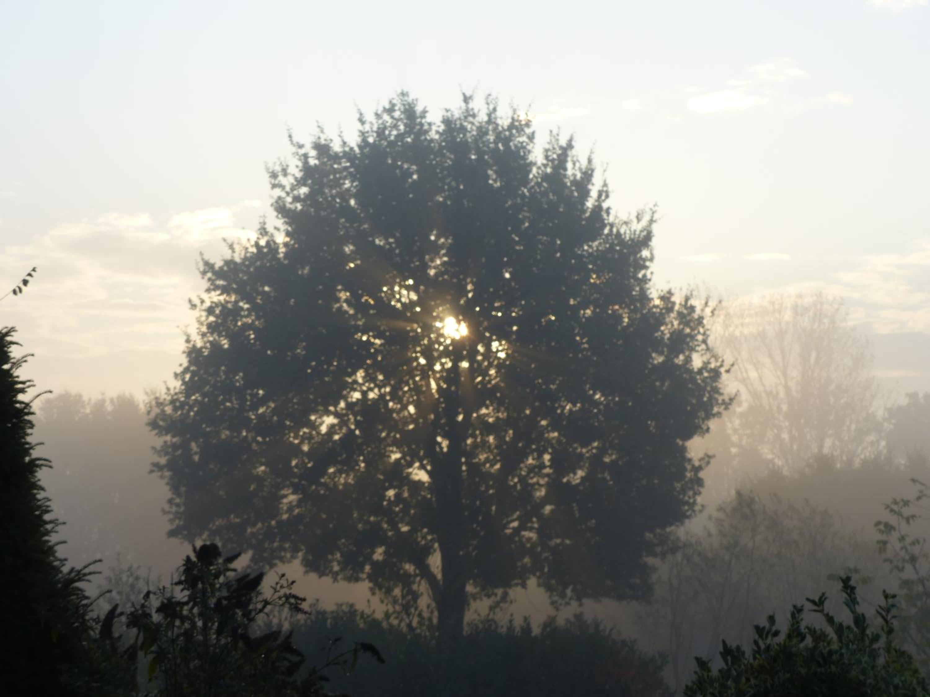 FEWO Emsland
