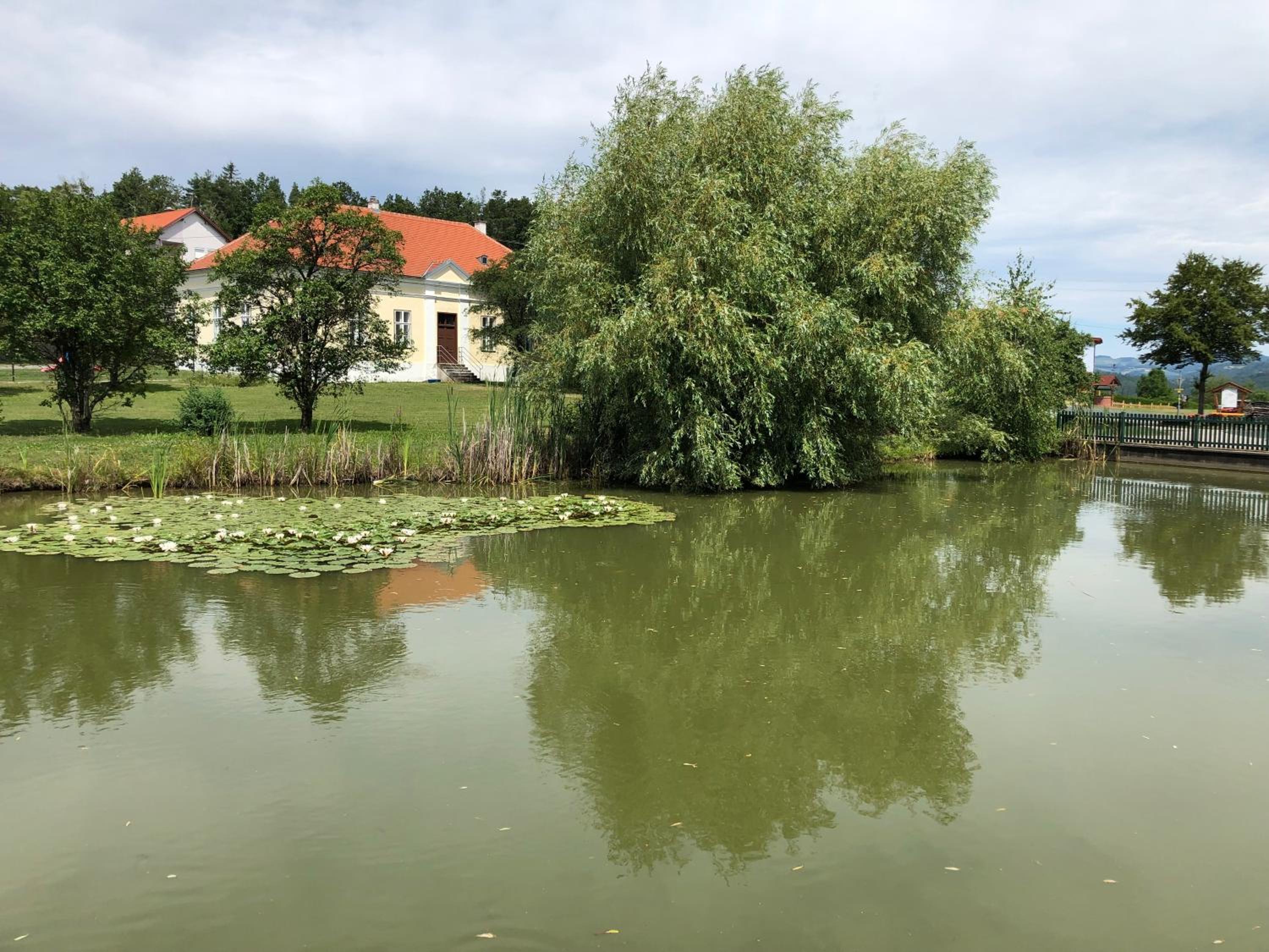 Photo 25