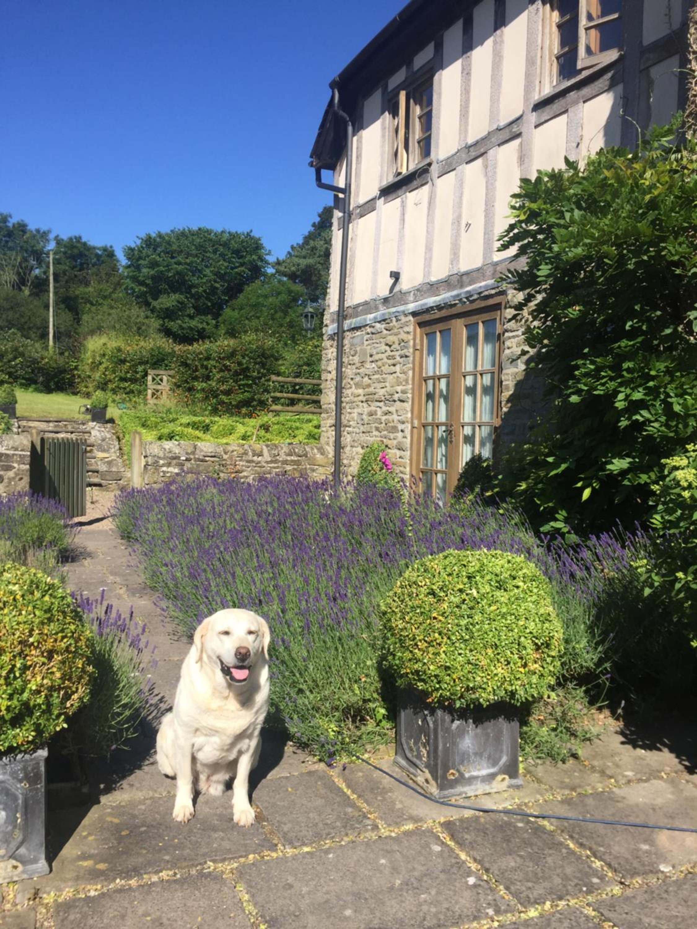 Lower House Farm B&B, Herefordshire view 4