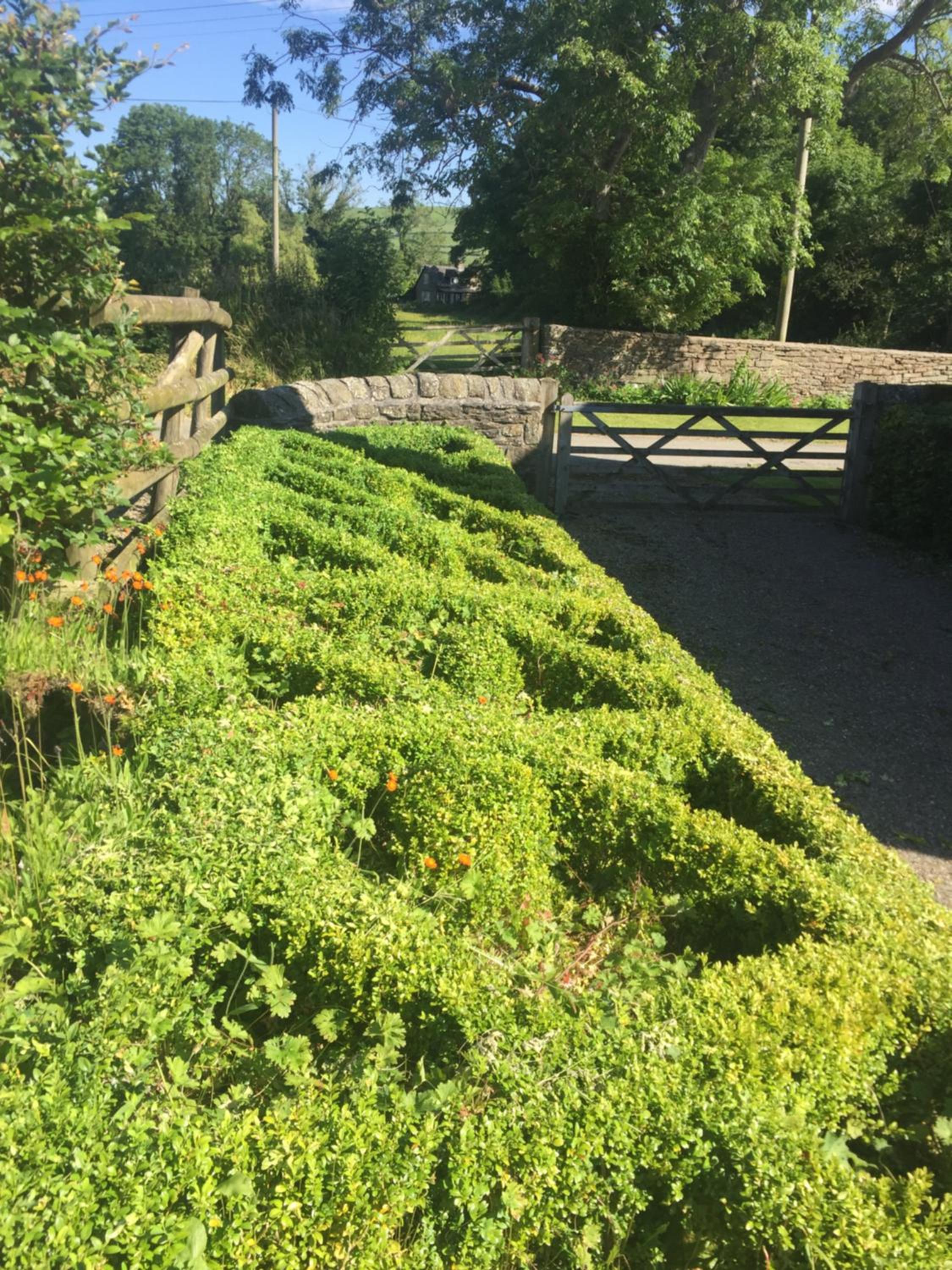 Lower House Farm B&B, Herefordshire view 5