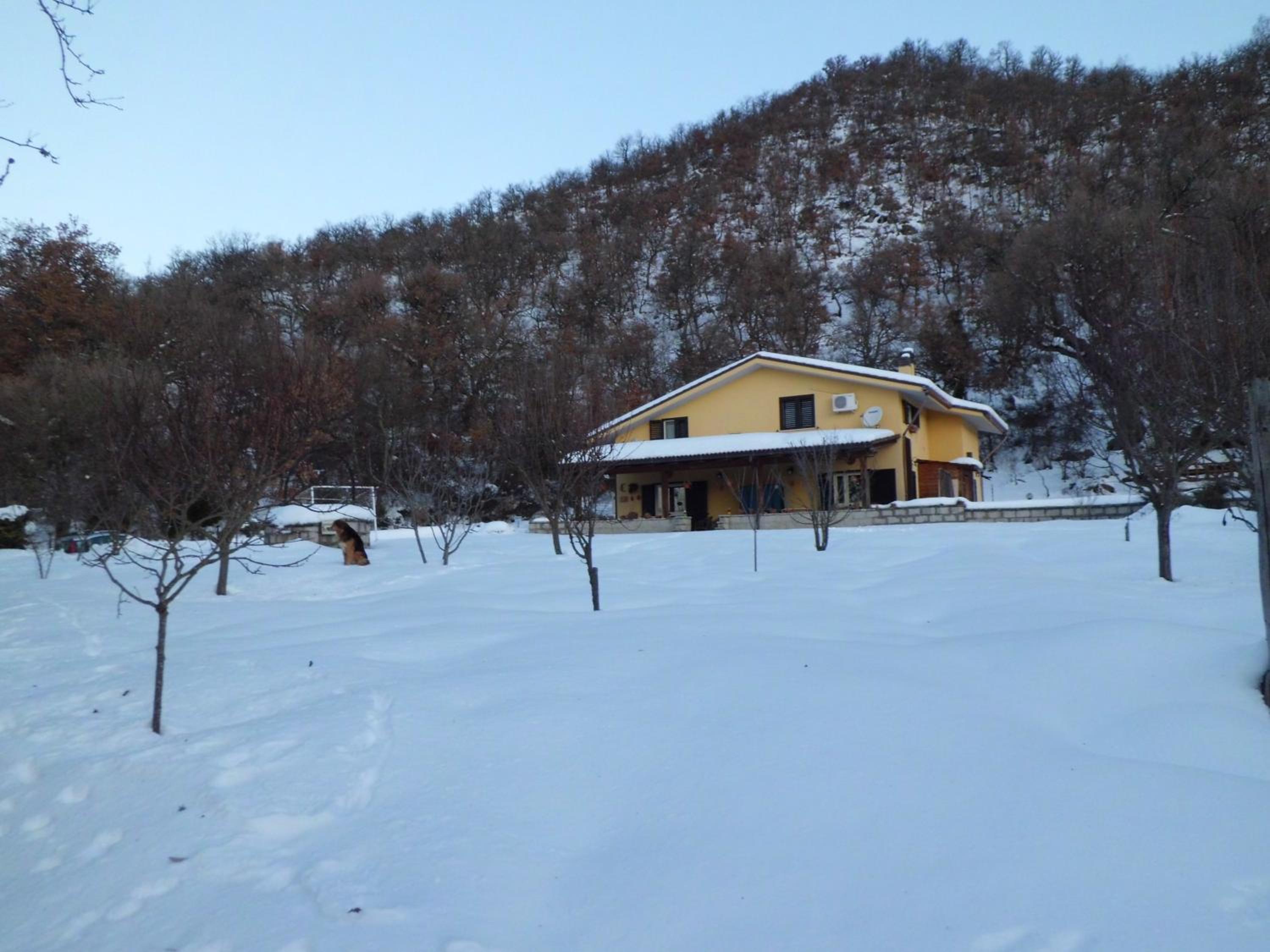 Photo 23
