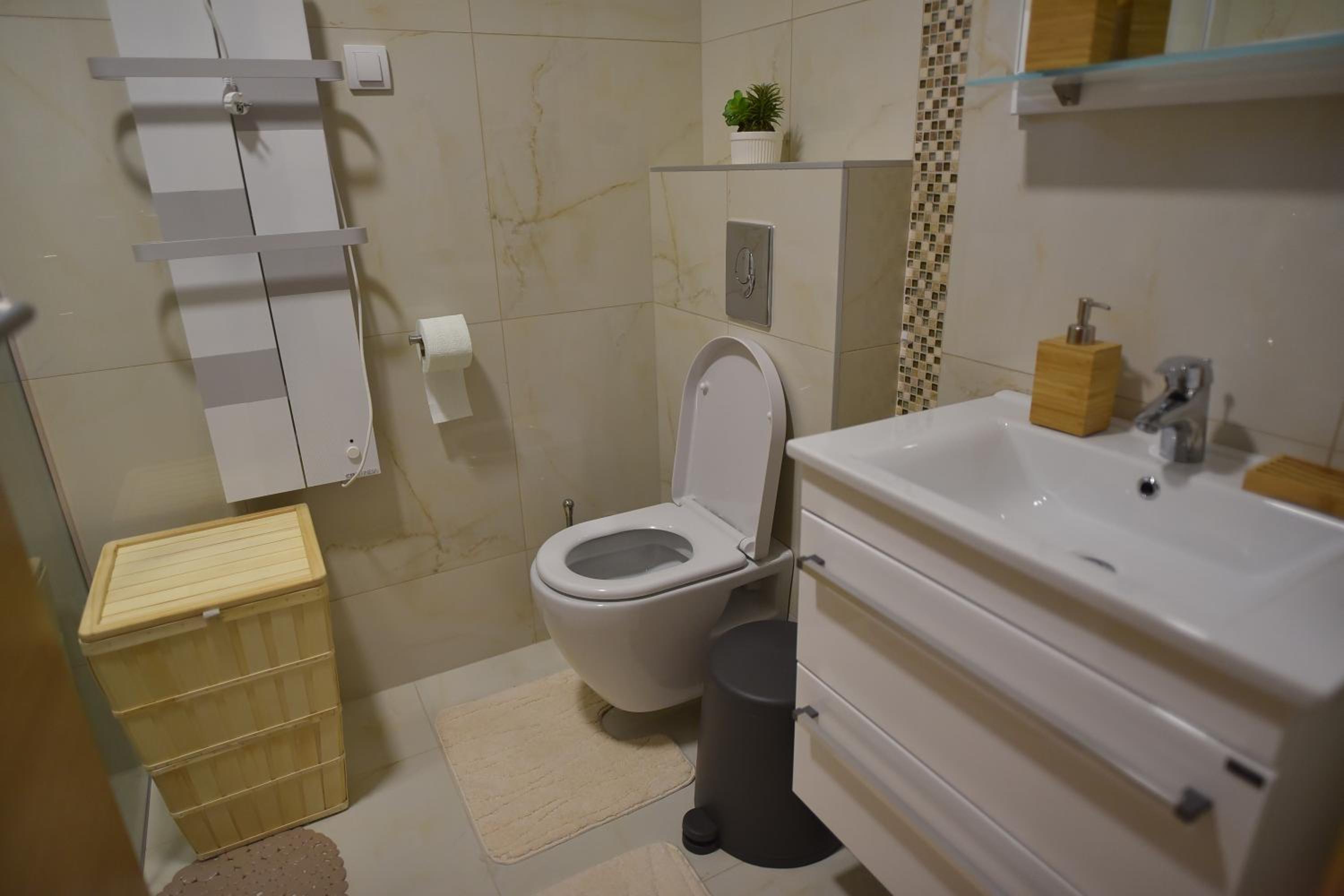 Casa Mia Urban Apartment Zlatibor view 2