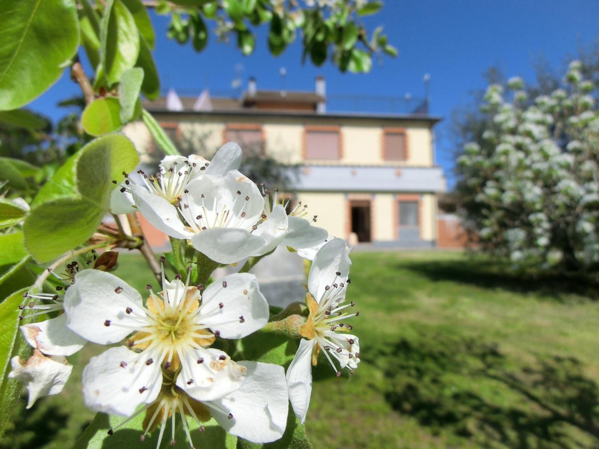 Agriturismo La Pietriccia