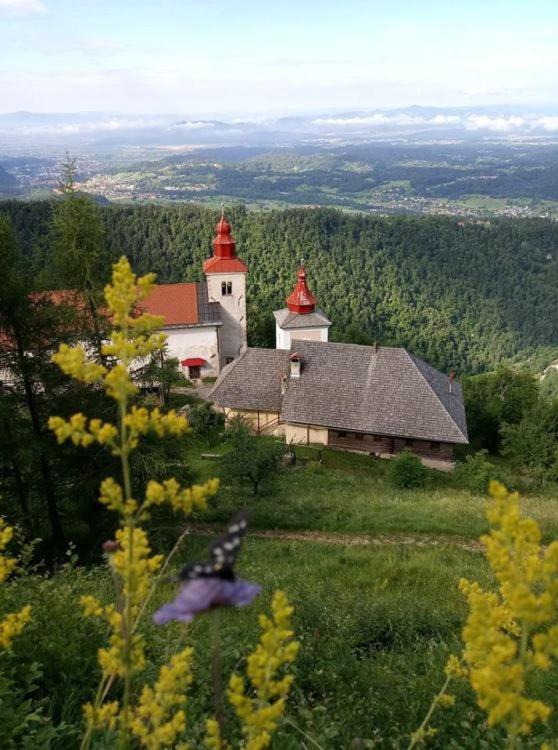 Apartma Zmalinka view 5