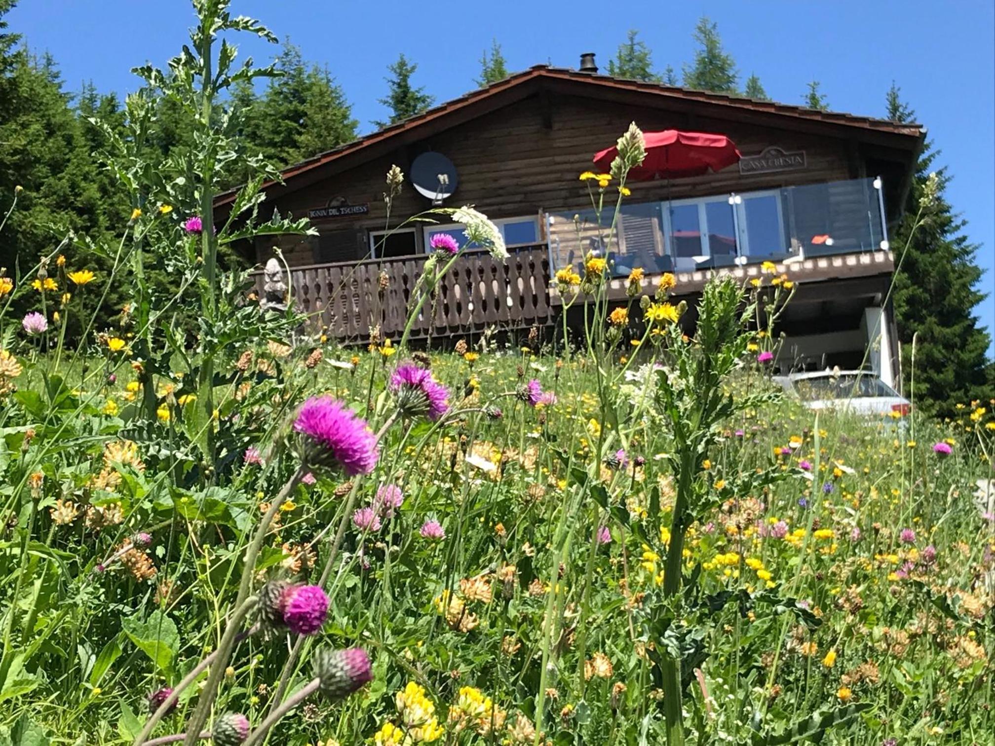 Chalet Casa Cresta - Top of Lenzerheide - bis 9 Personen