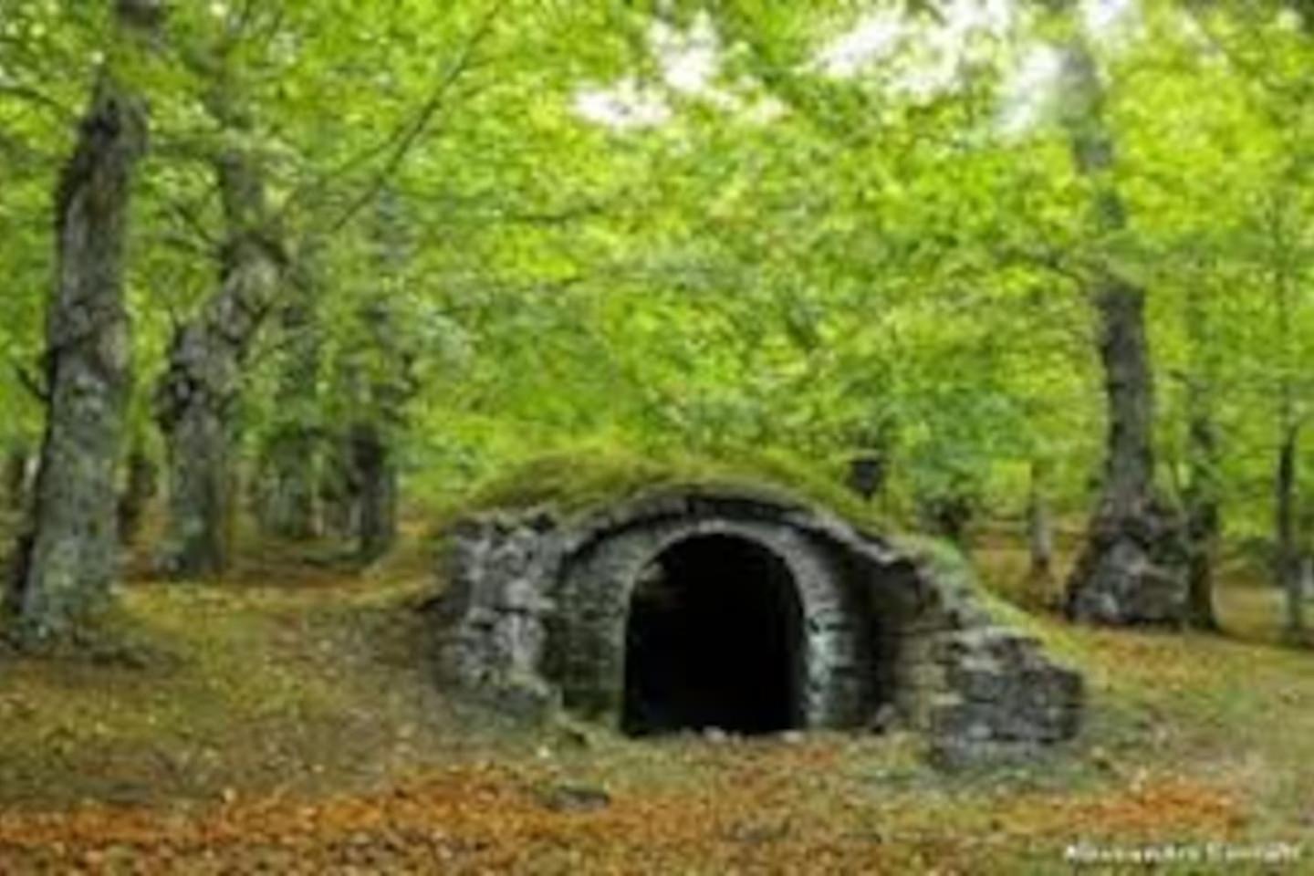 Photo 45